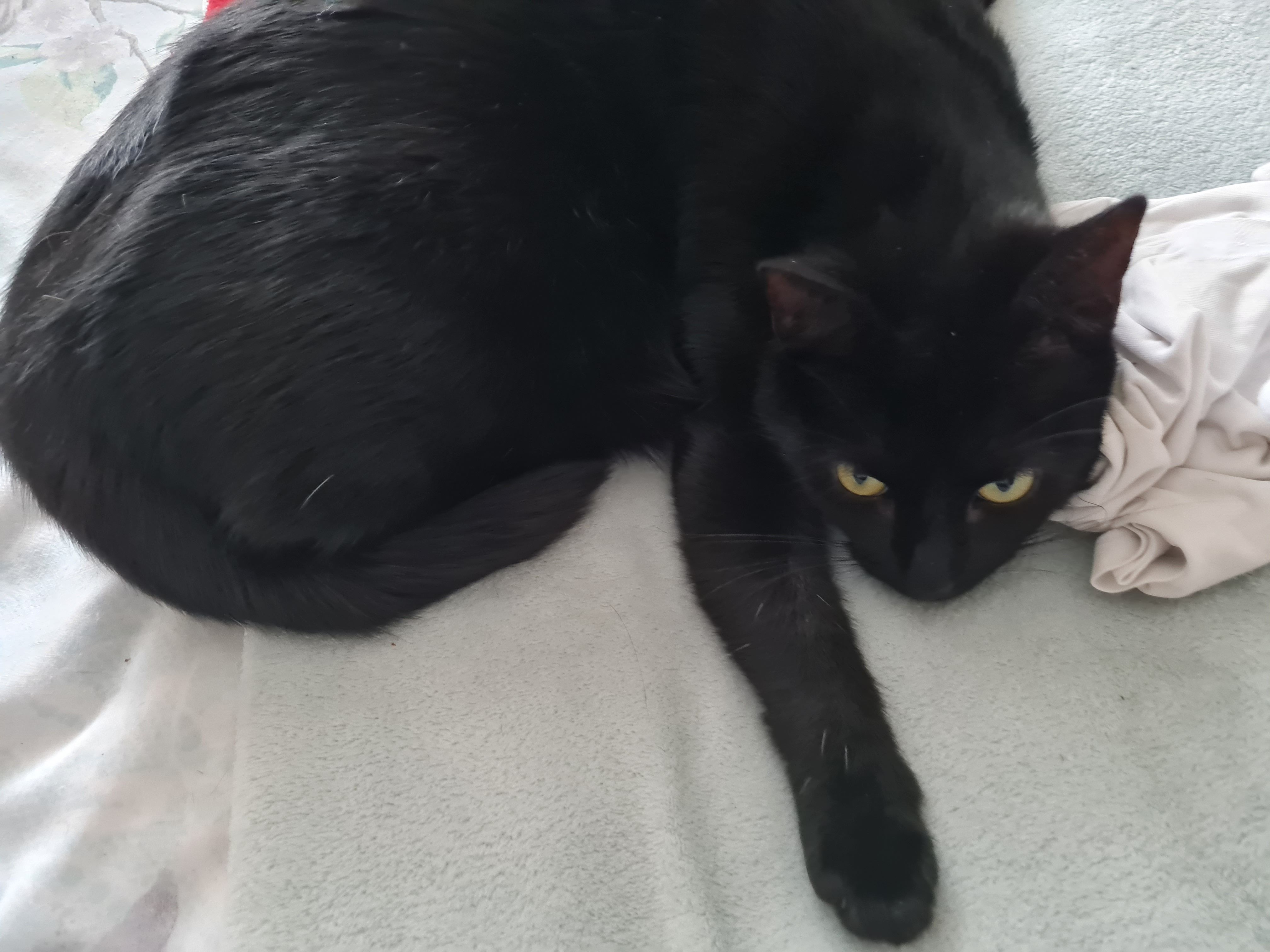 Jingles - R93 y226, Carlow