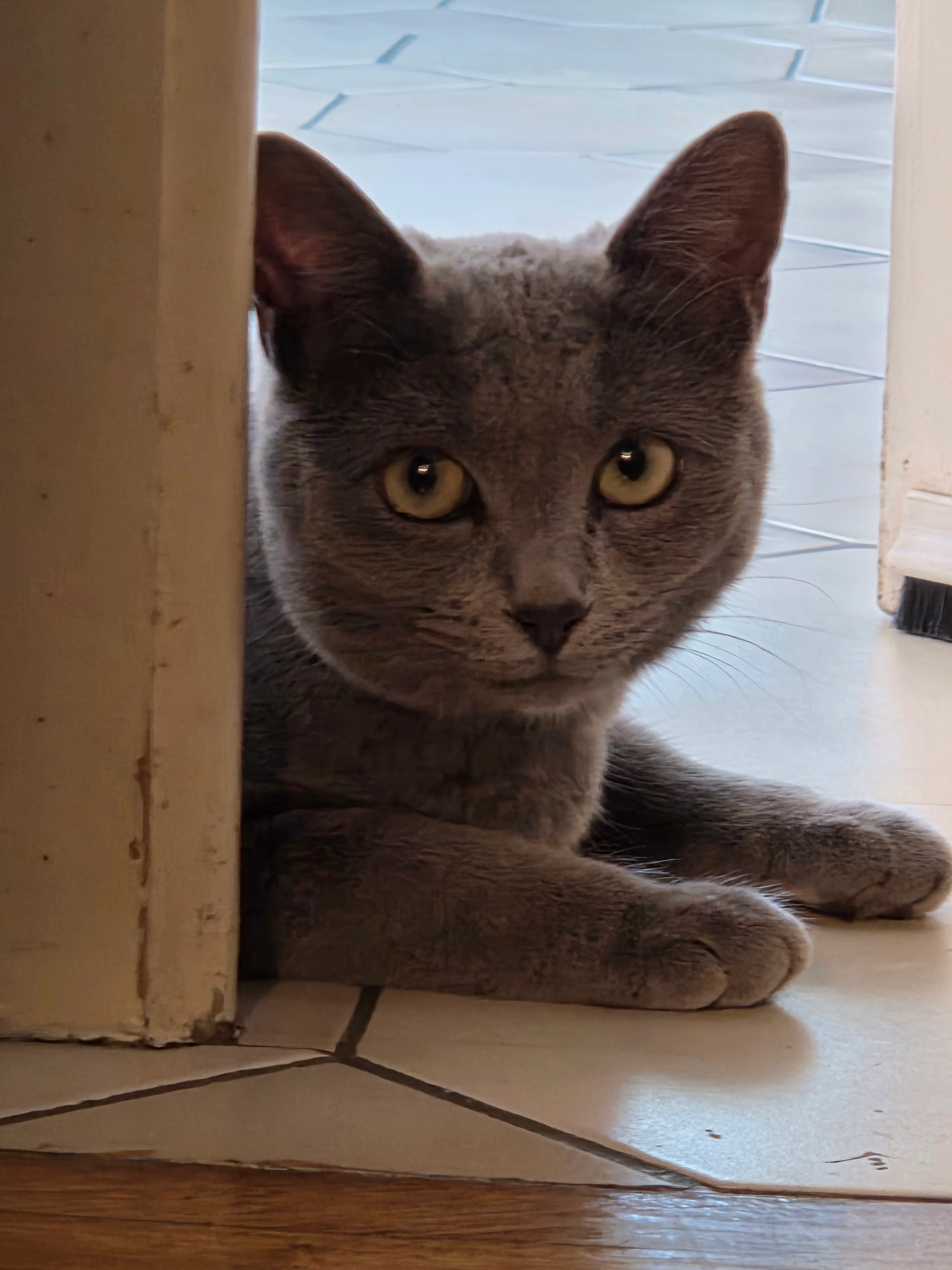 Ysis - Rue de l'Aven, Concarneau