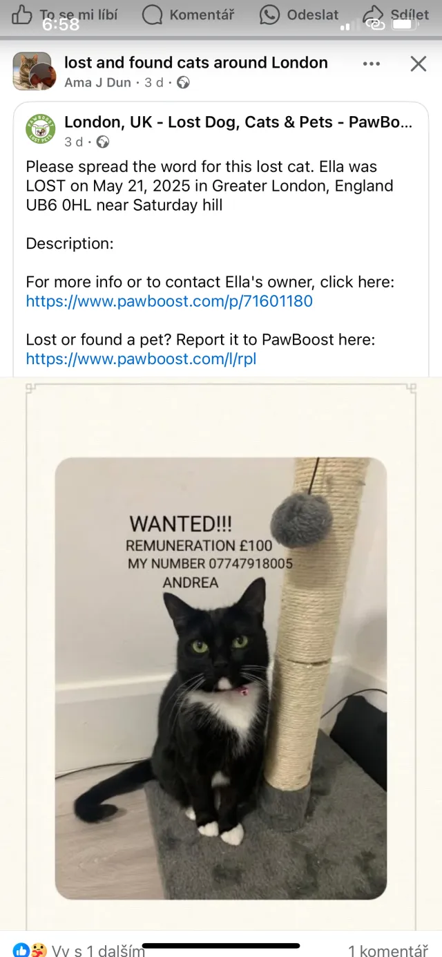 Ella - 1352 Greenford Road, Greenford