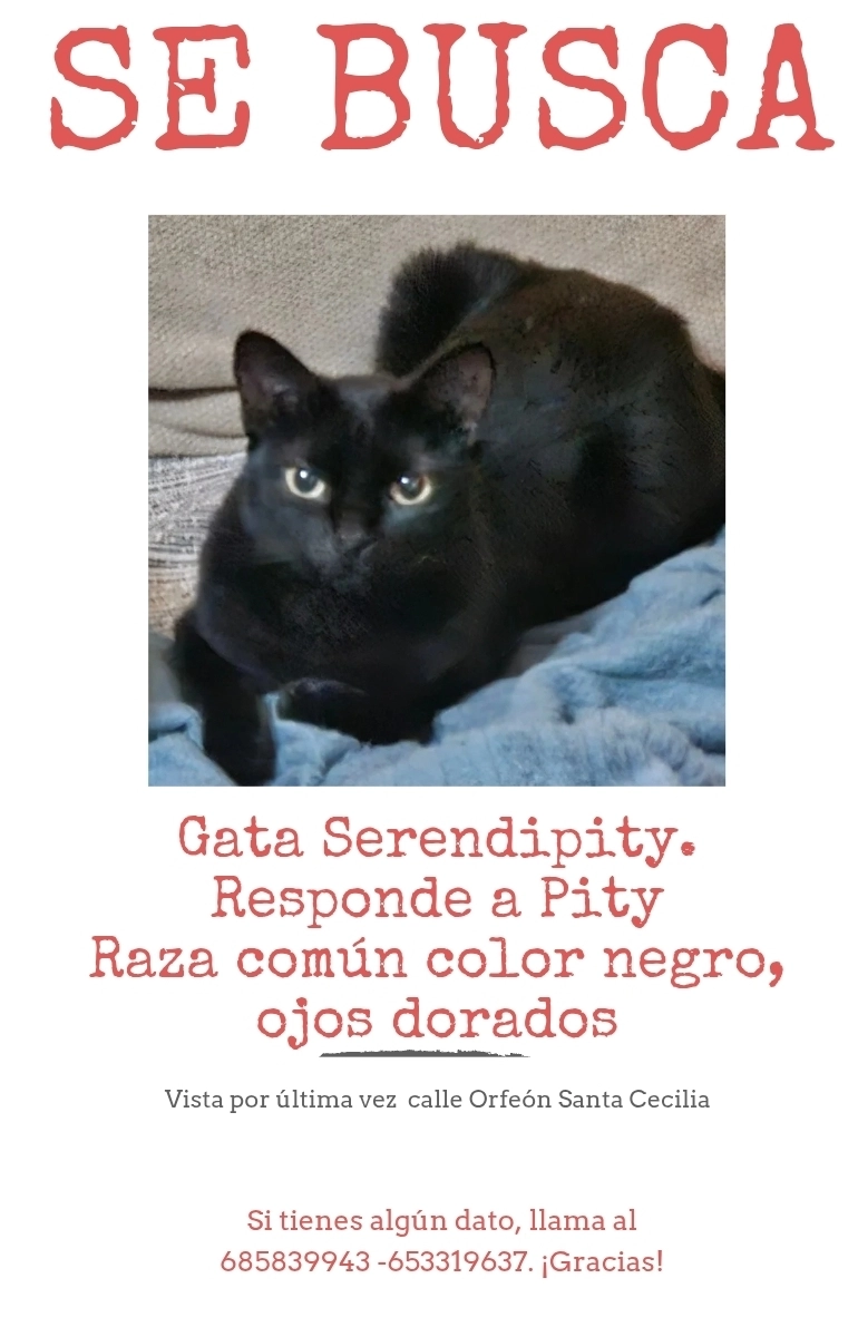 Piti - Calle del Orfeón Santa Cecilia, Sanlúcar de Barrameda