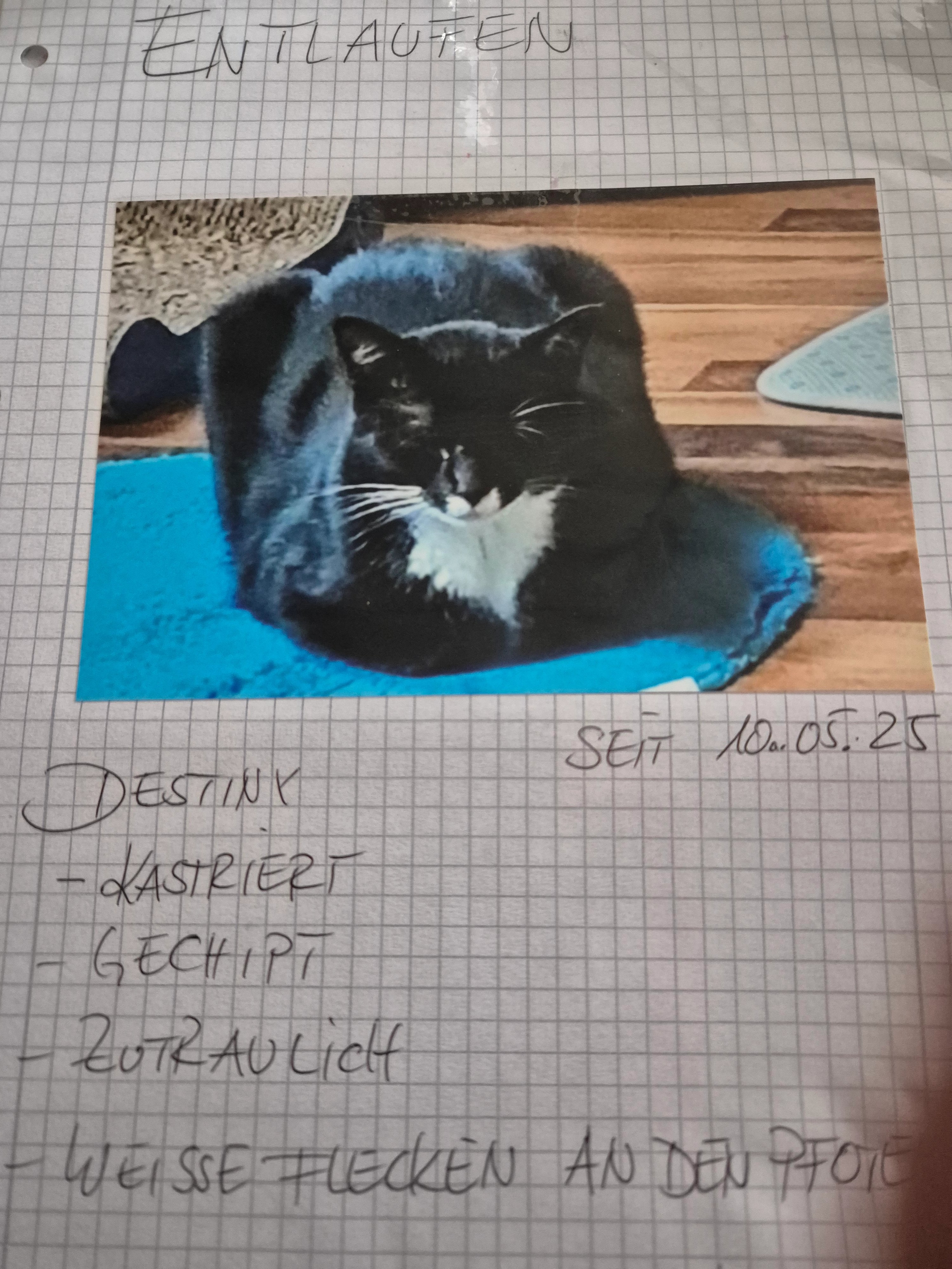 Destiny - Rosenhagen, Peine