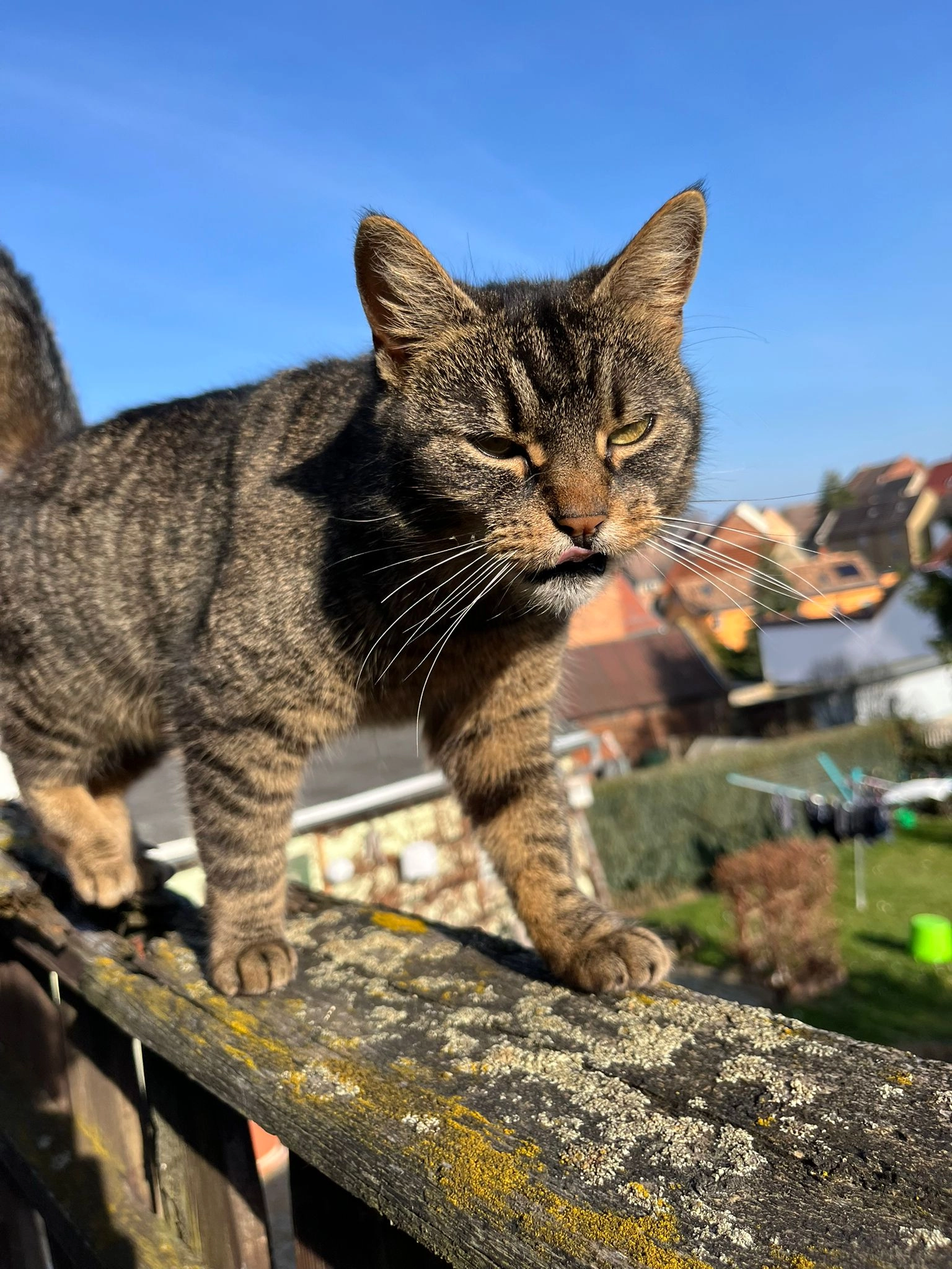 KItCat - Jenaer Straße, Schkölen