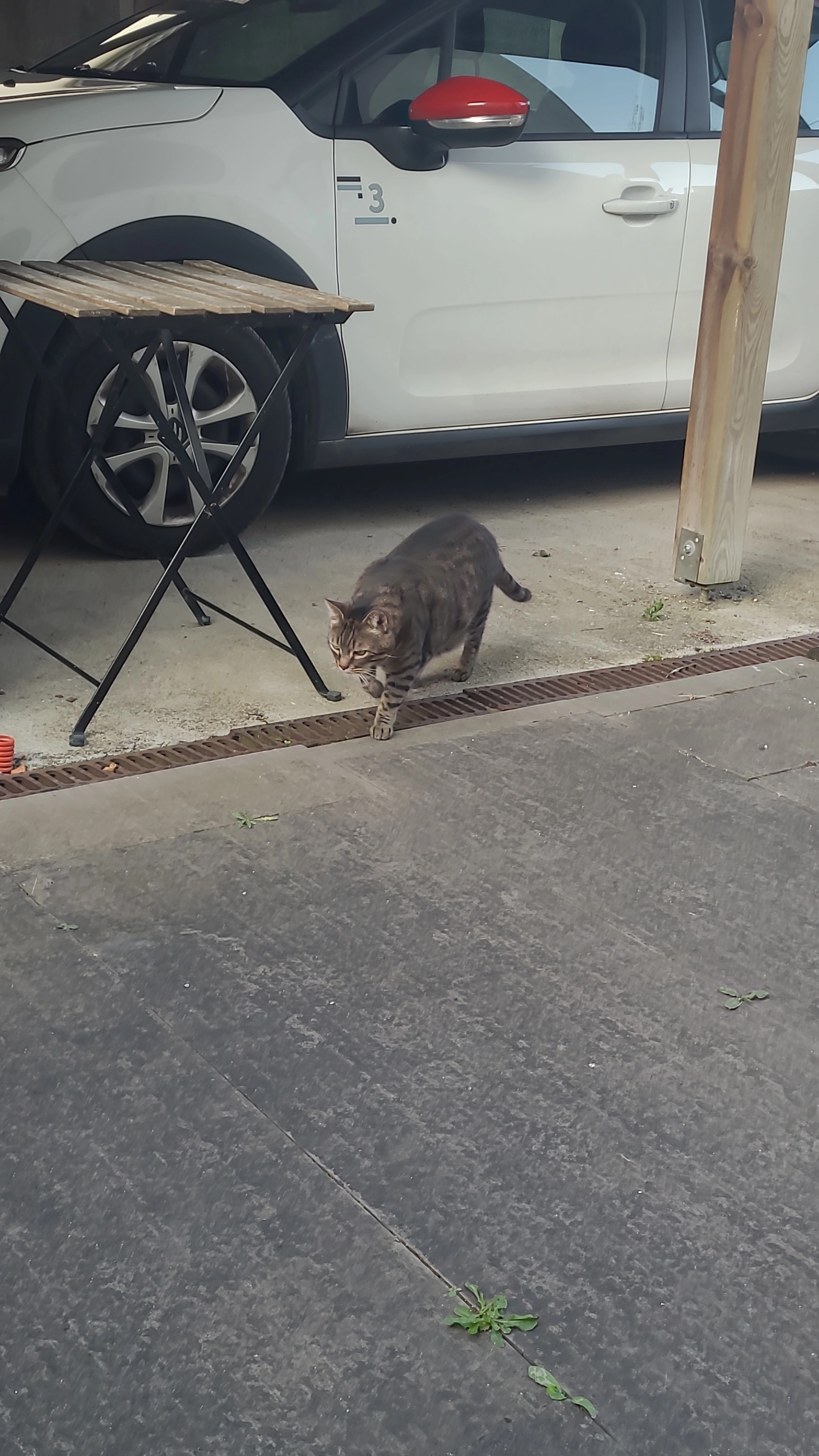 Onyx - 96 Rue Robert Goupil, Le Bardon