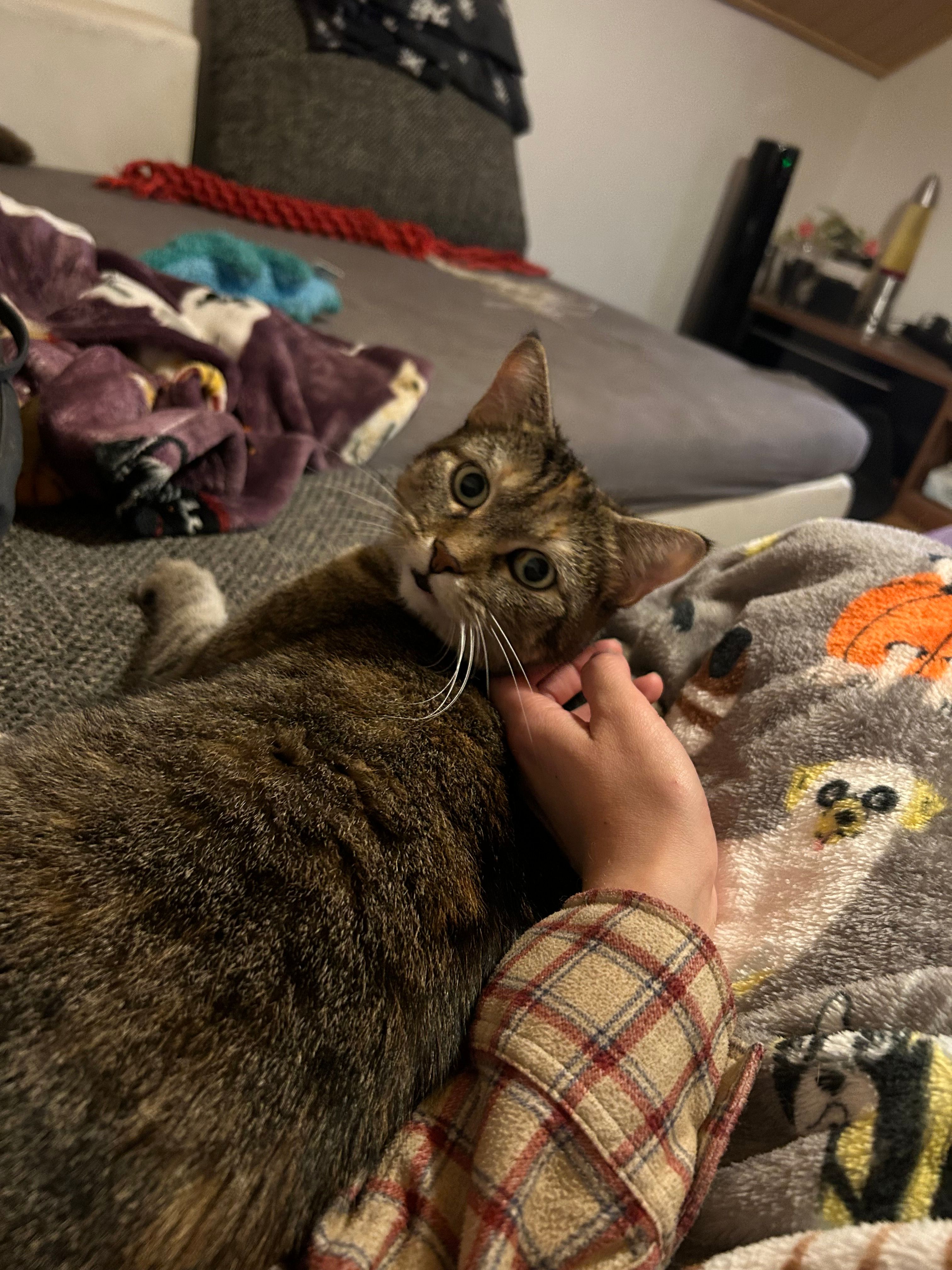 Sally - Am Kleienberg, Ranstadt