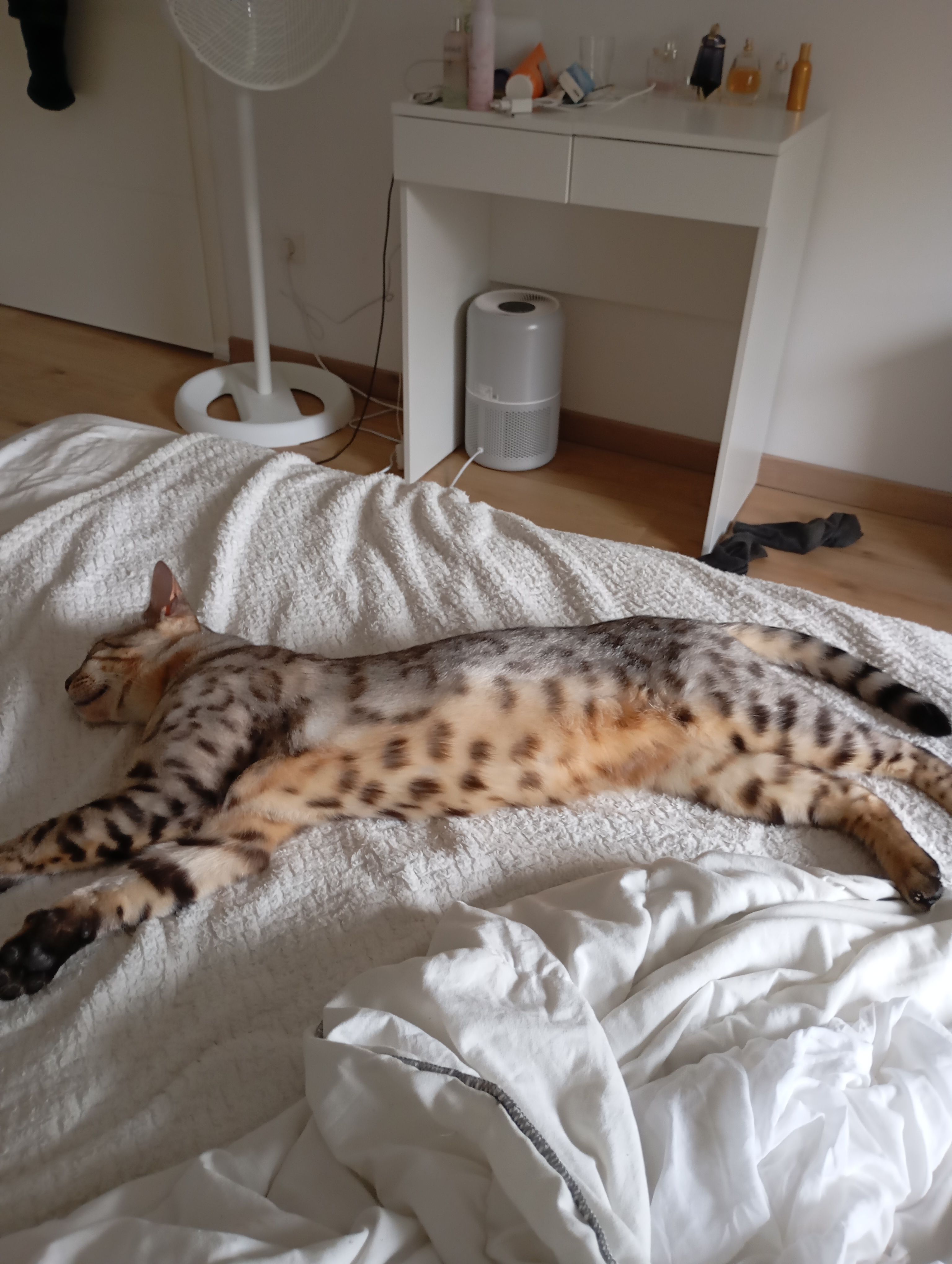 Baobao - Avenue de Mersch 89, Arlon