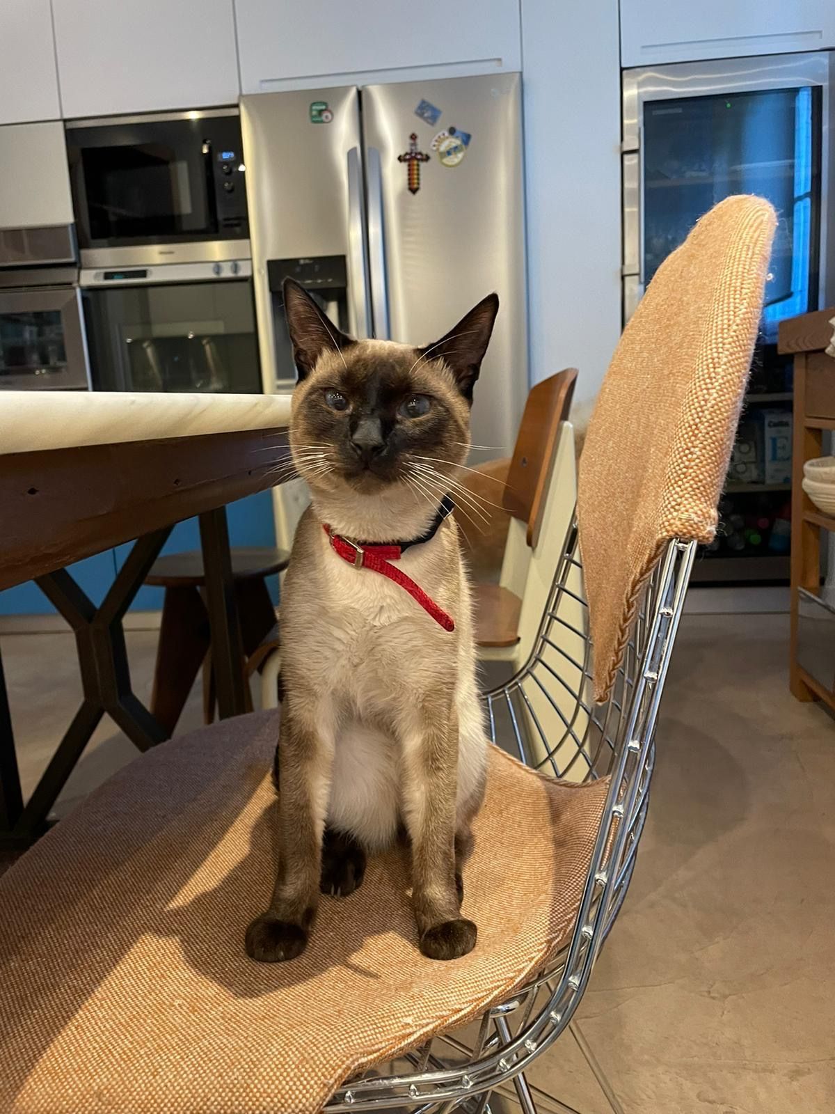 Coco - Calle del Iris 48, Alcobendas