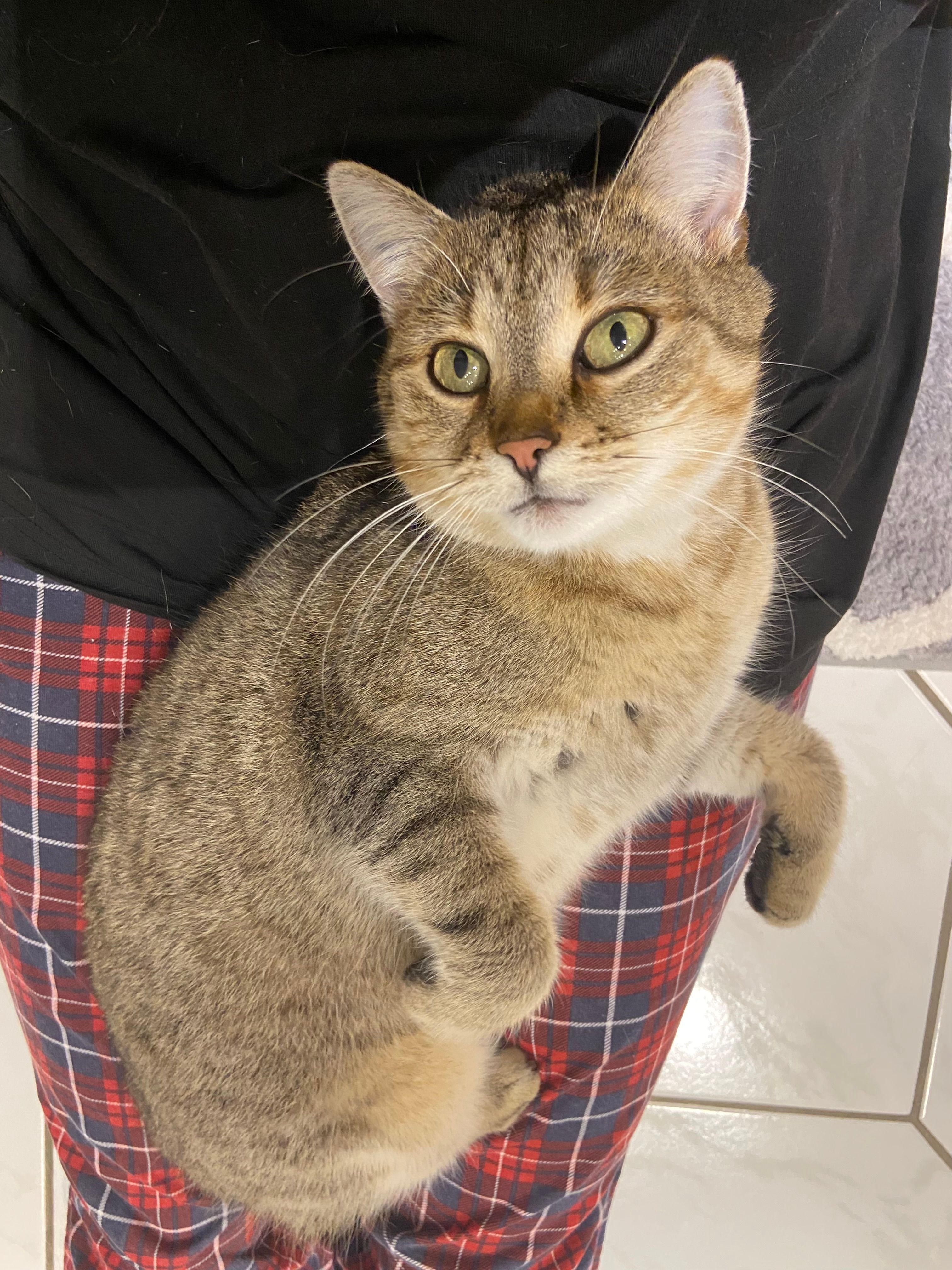 Polly - Untere Dorfstraße, Kodersdorf