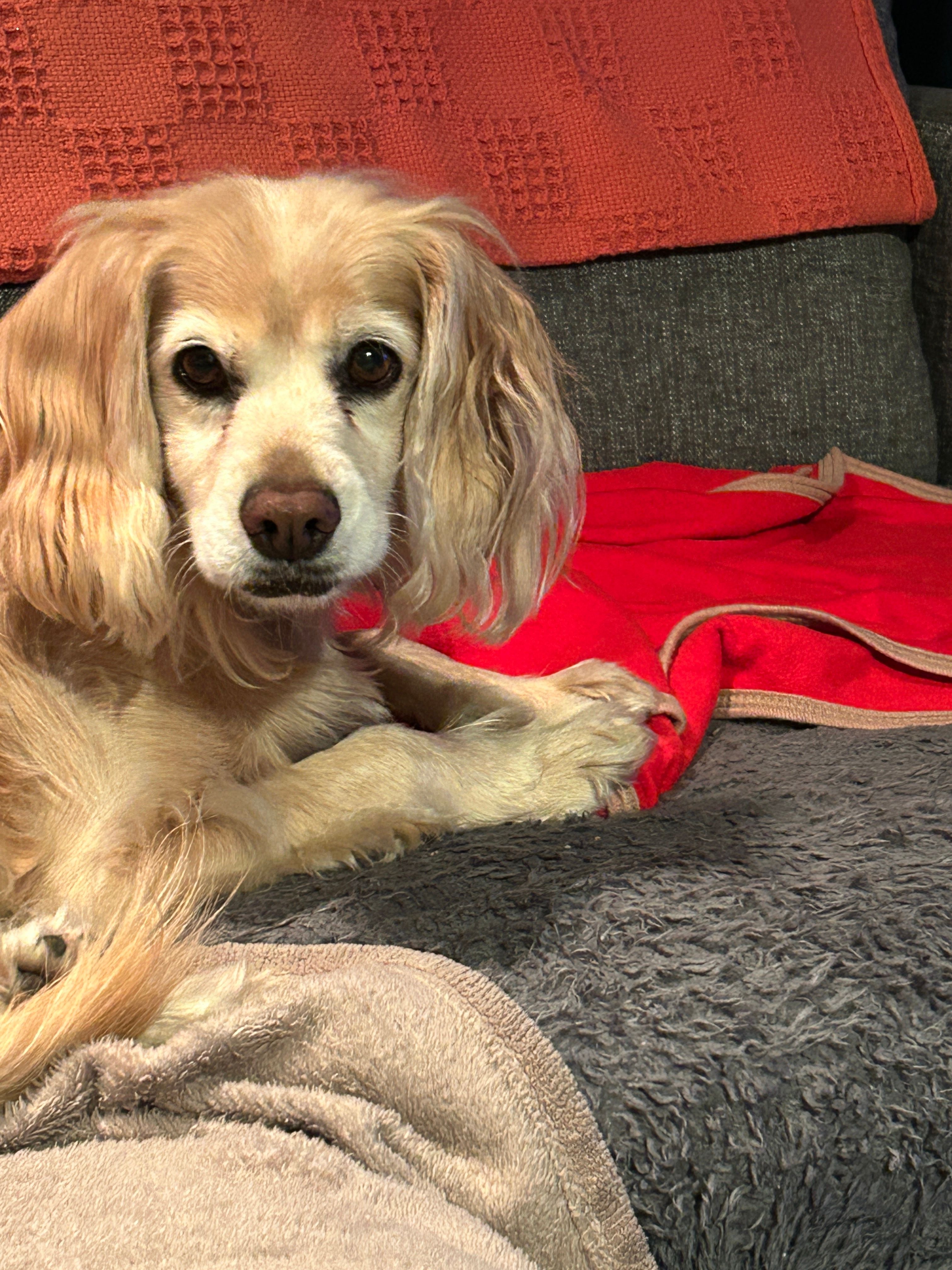 Dudley - Vale Road, Wilmslow