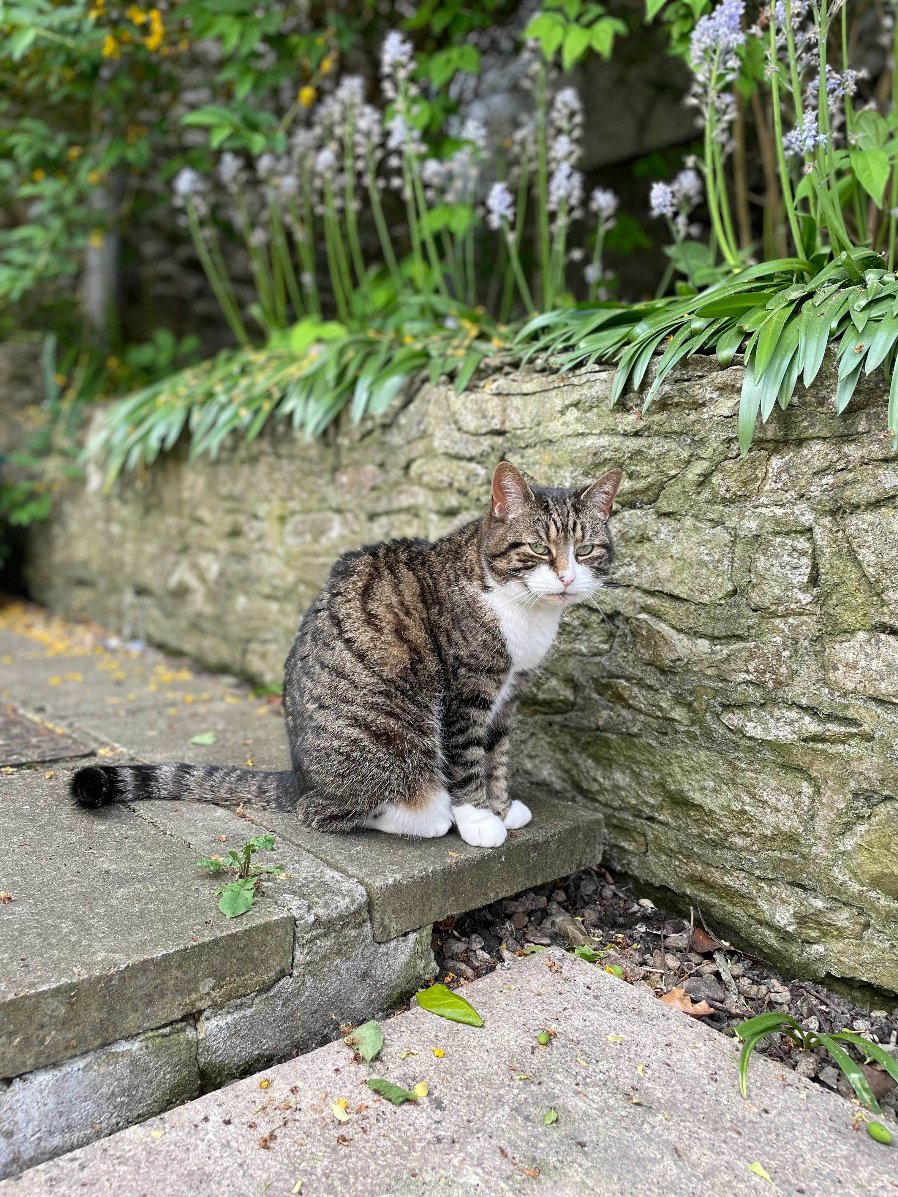 April - 21 Botley Road, Oxford