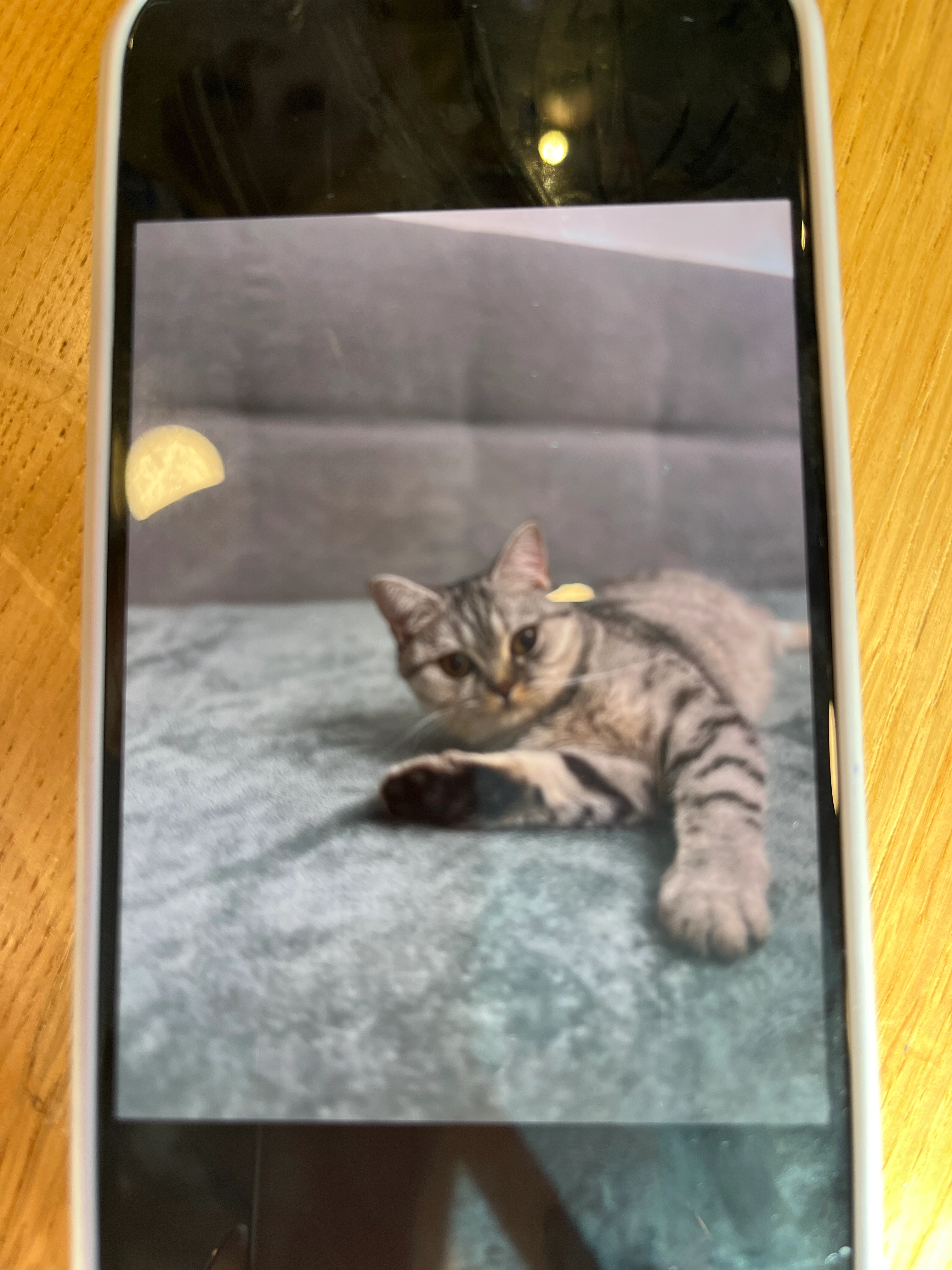 Kitti - Baaderstraße, München