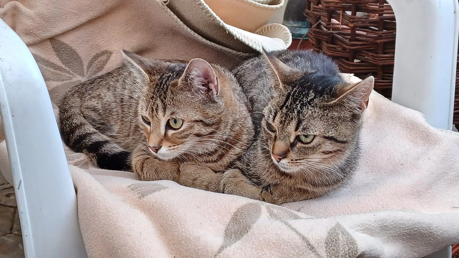 Leo - Pater-Clemens-Fuhl-Platz, Aidhausen