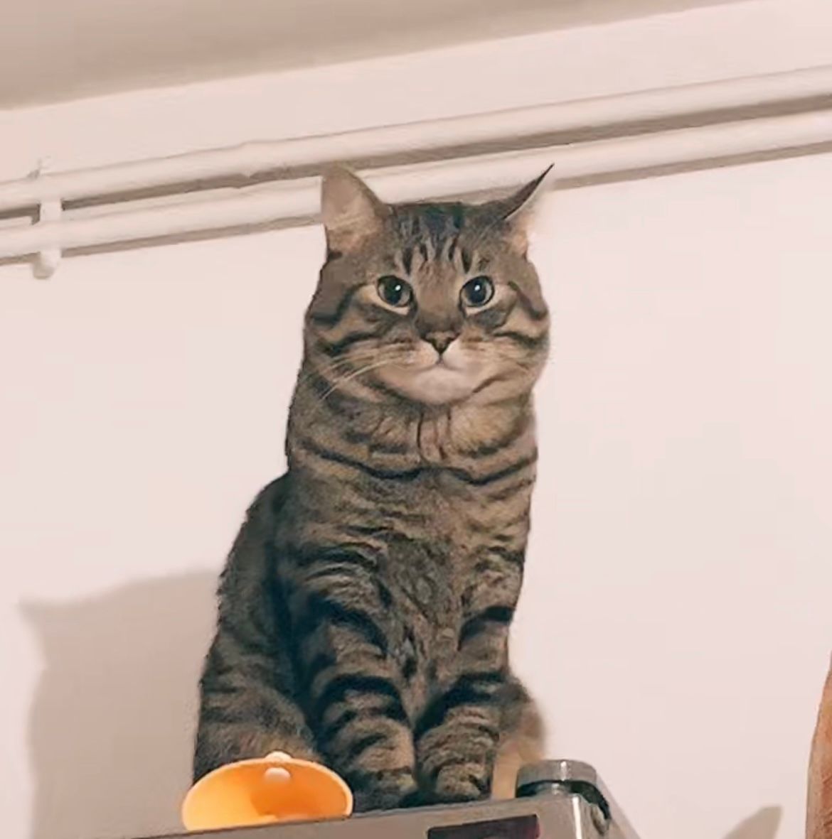 Gipsy - 38 Avenue Ferdinand de Lesseps, Saint-Nazaire