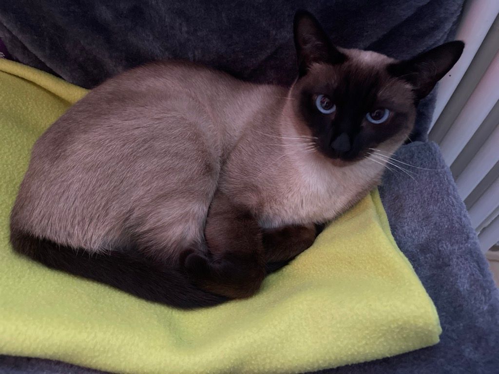 Luna - Neubaustraße, Straubing