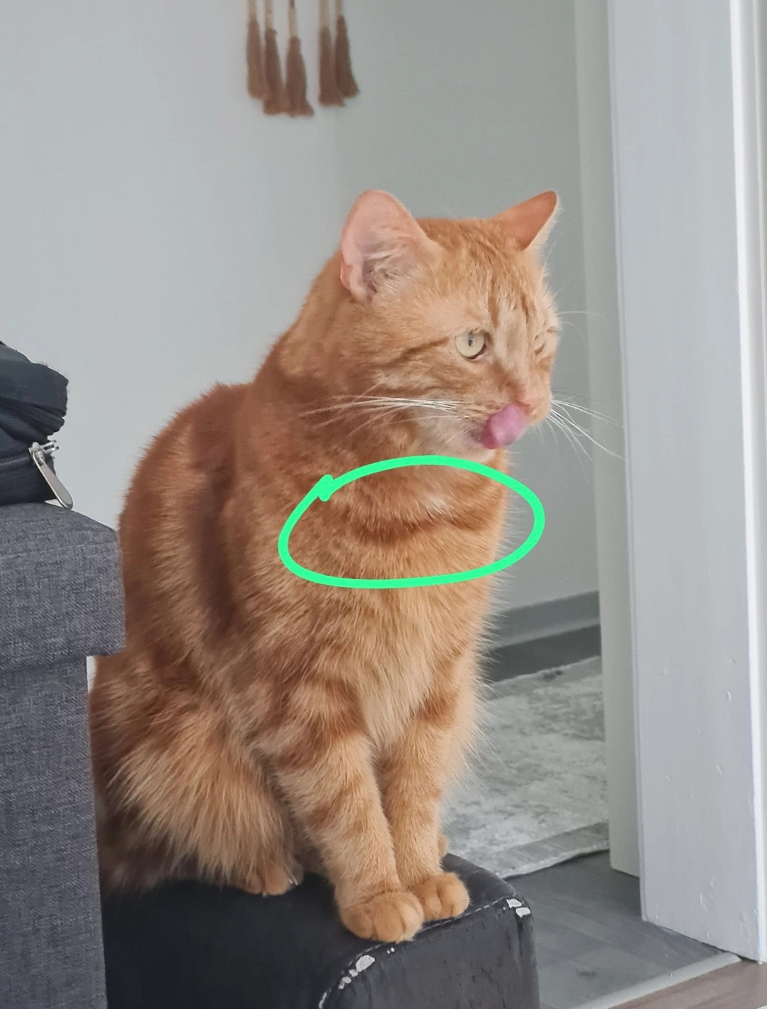 Piçi - Isselhorster Straße, Gütersloh