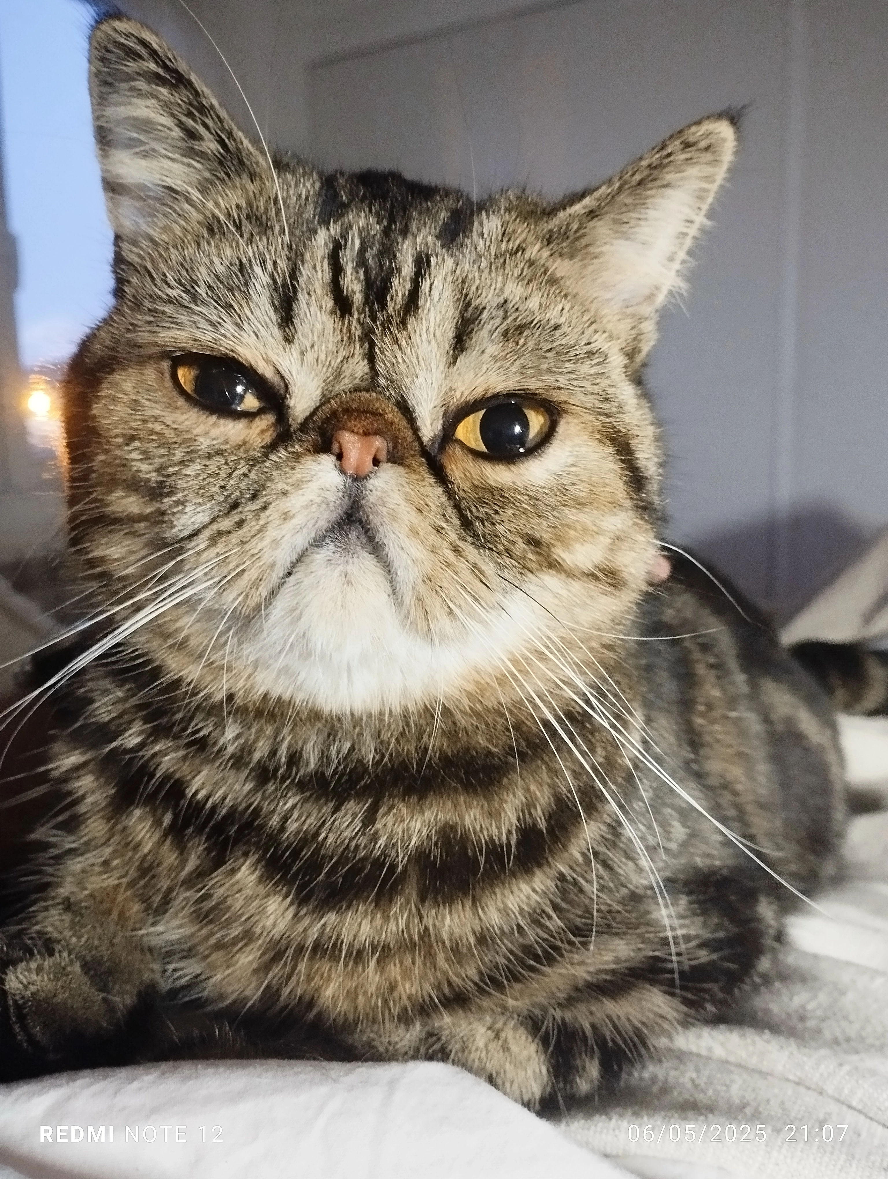 George  - Gran Via del Puig de Randa, Calvià