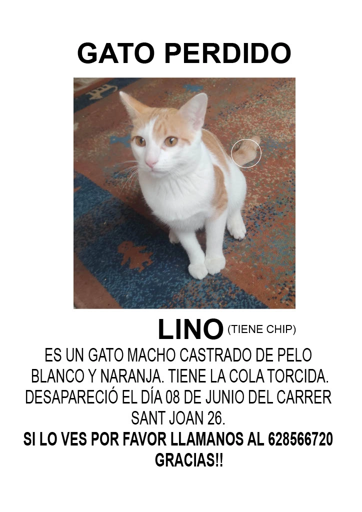 LINO - Carrer de Sant Joan 26, Sant Pere de Ribes