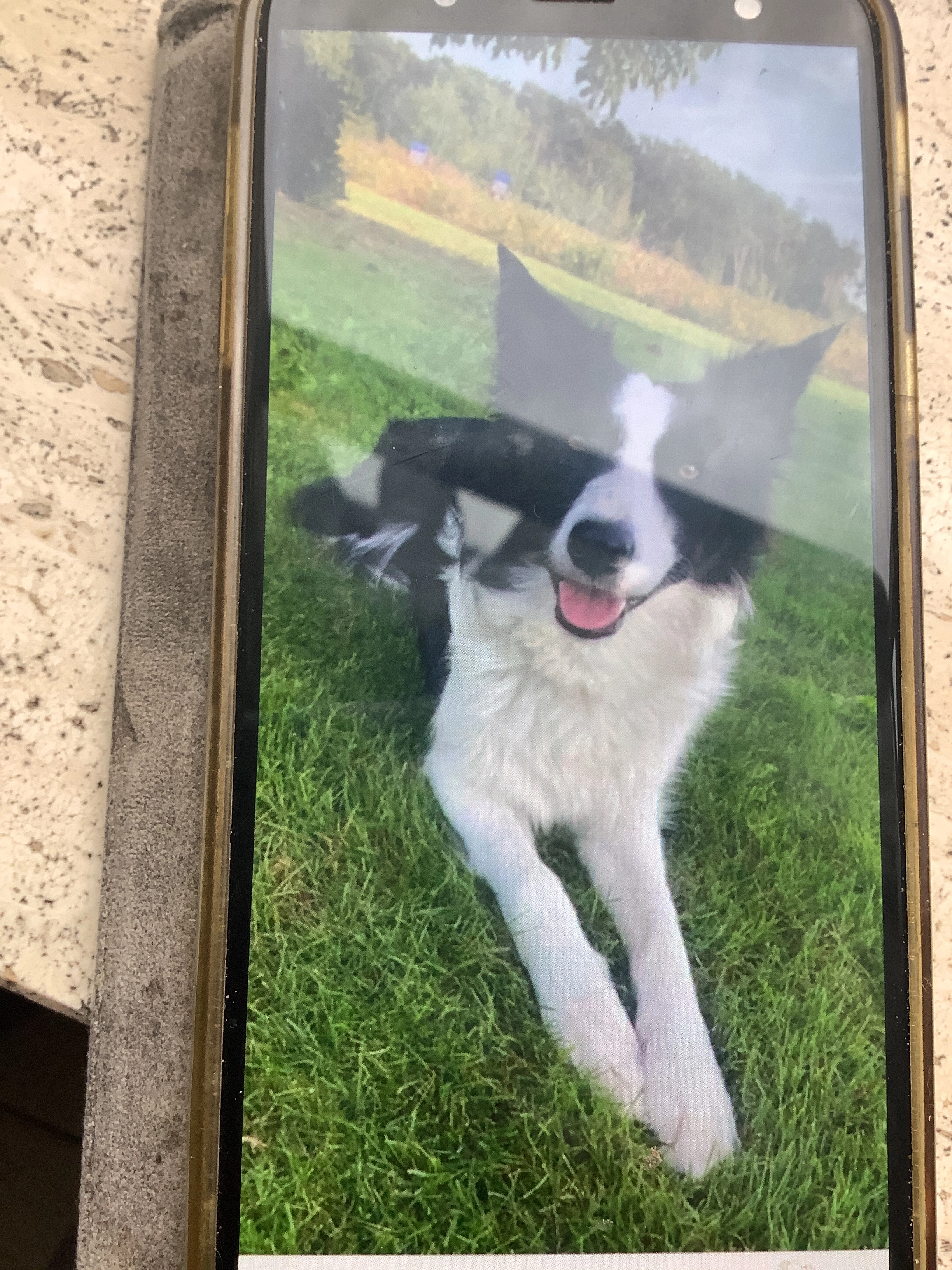 Jopie - Weijerkens, Bergeijk