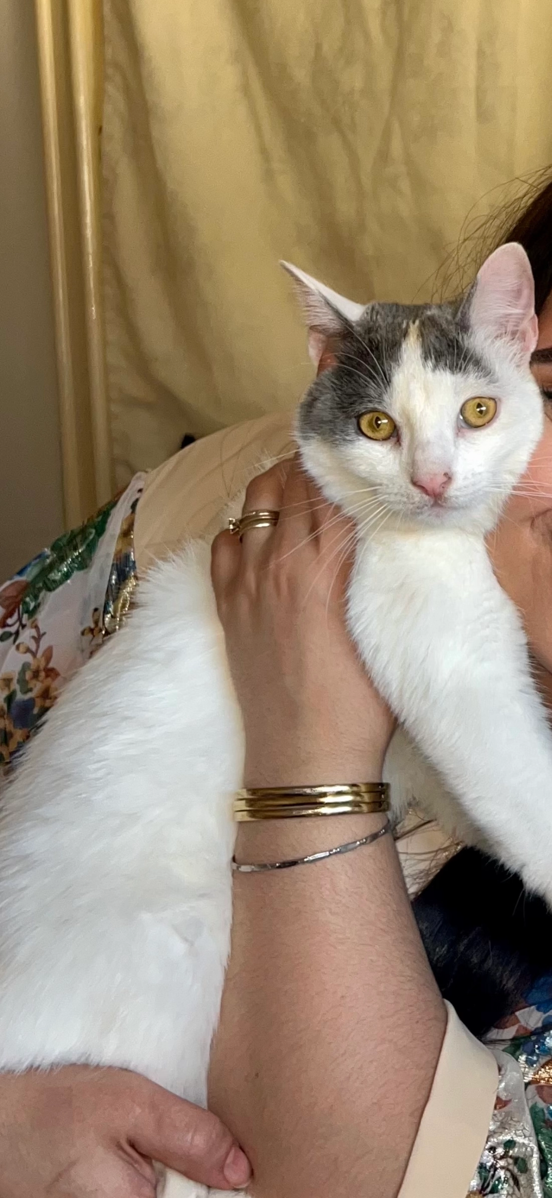 Meme - Rue Gontier, Les Mureaux