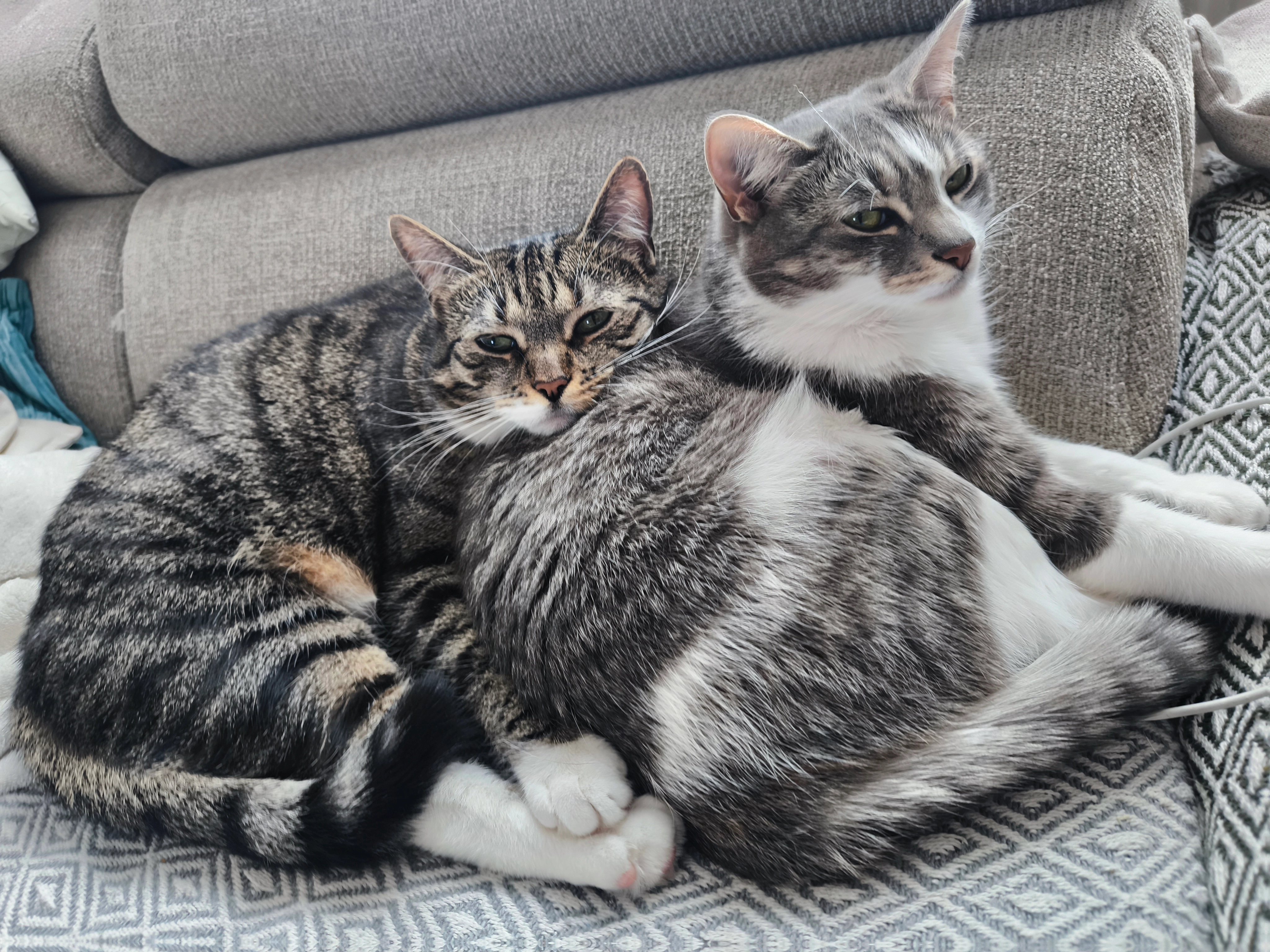 Minka - Muschelweg, Frankenberg