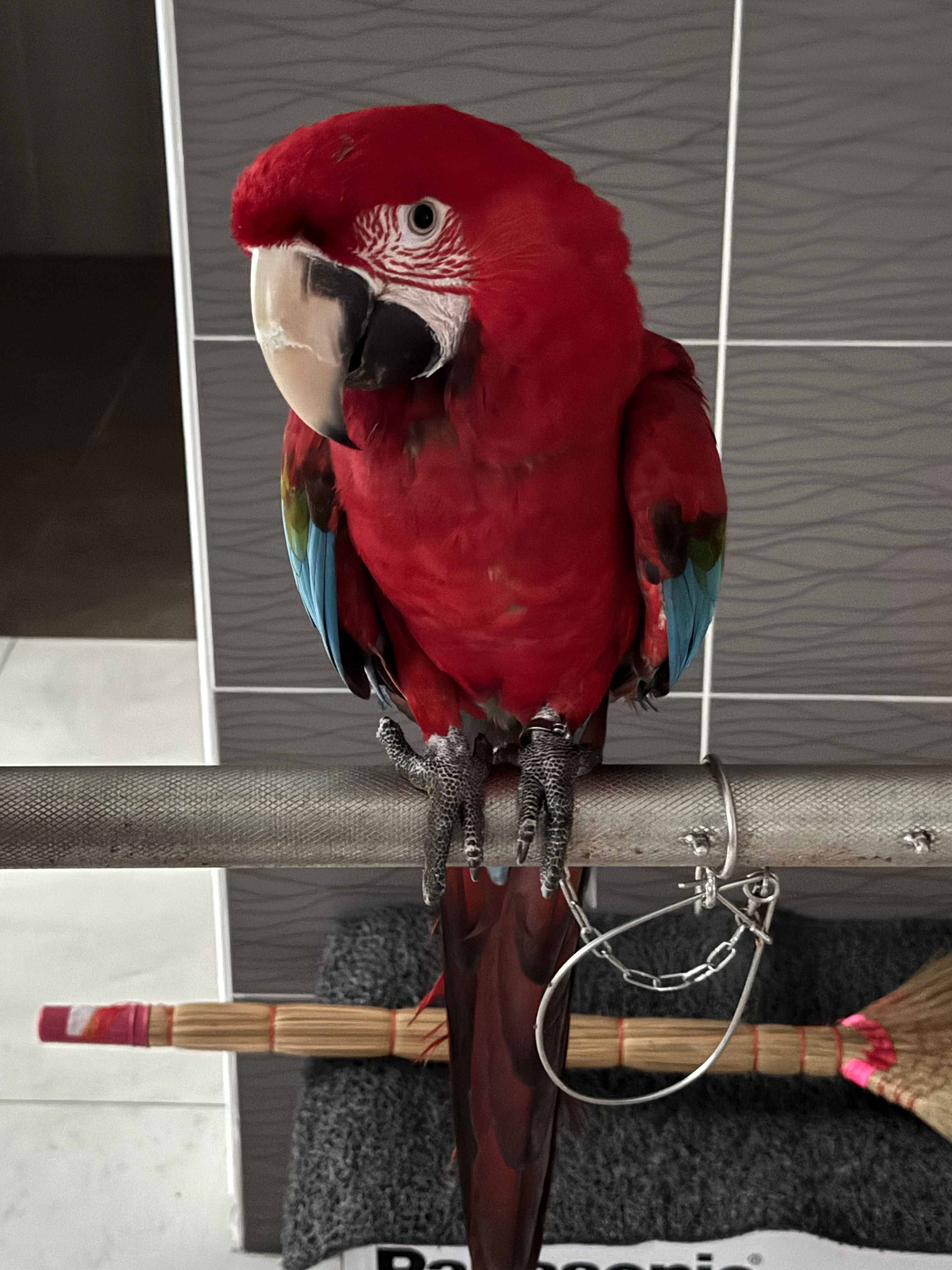 MAYA - Laluan Meru Indah 4, Ipoh