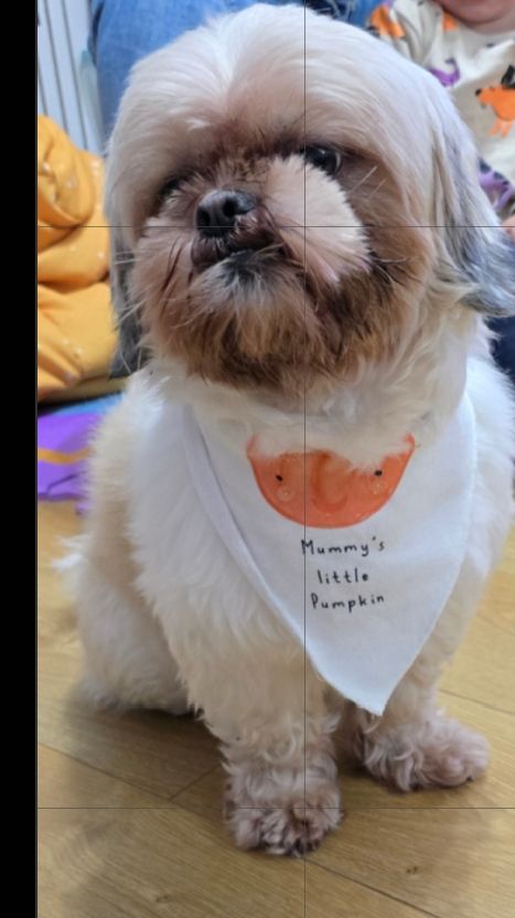 BOB - Wyles Street, Gillingham