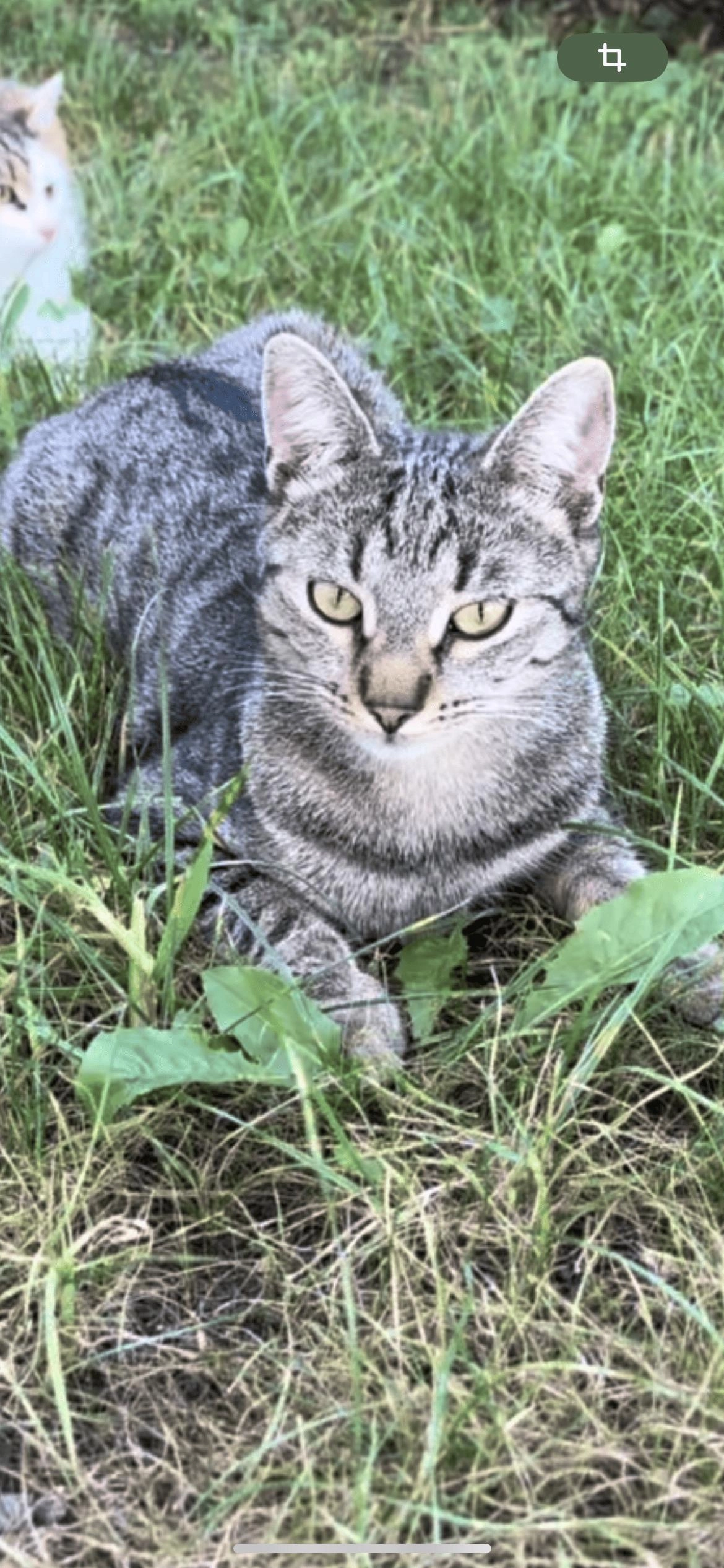 Luna - Wichernstraße, Lauchringen