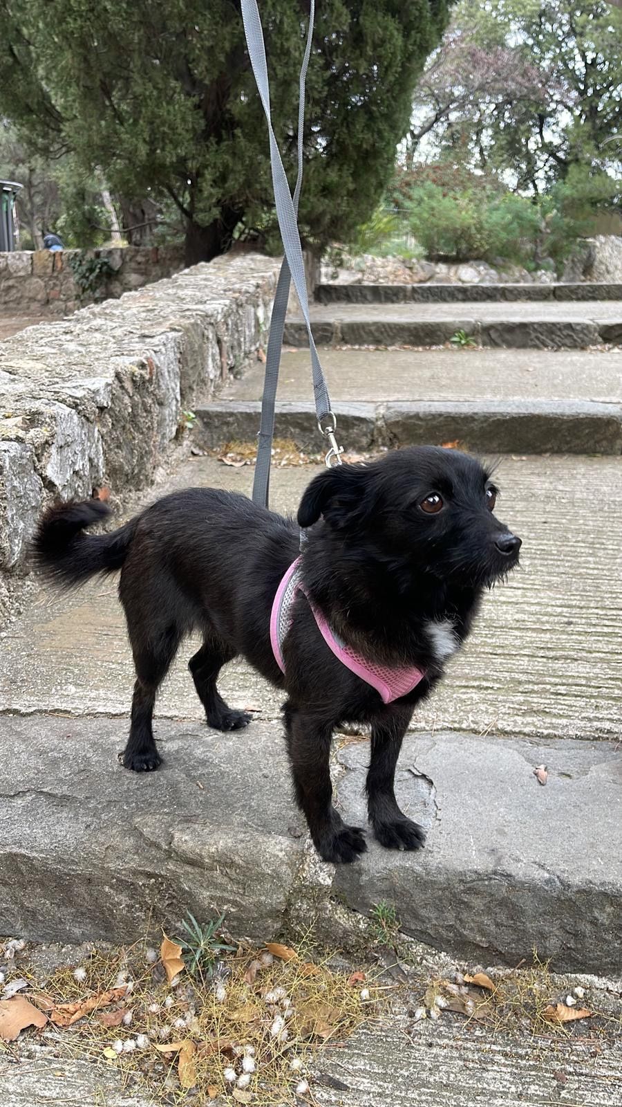 Cacau - Rue D'italie, Nice