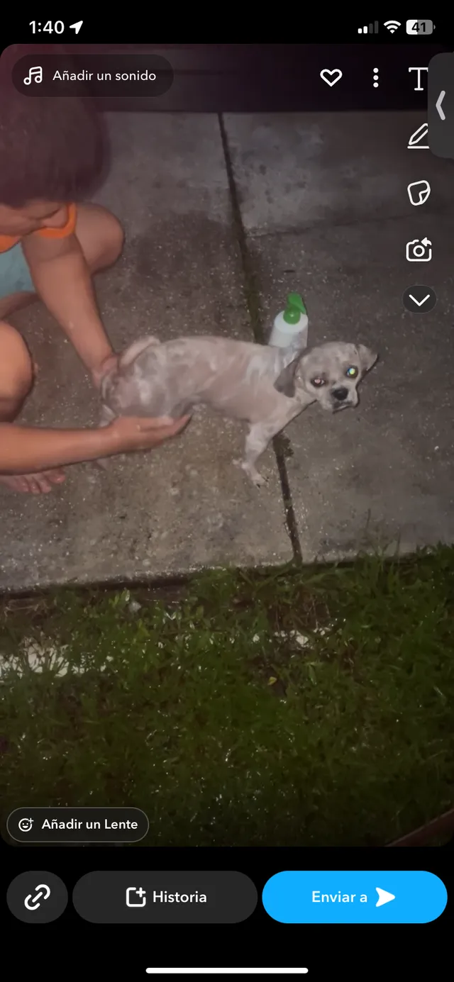 Max - 4611 Gulfstream Rd, Lake Worth