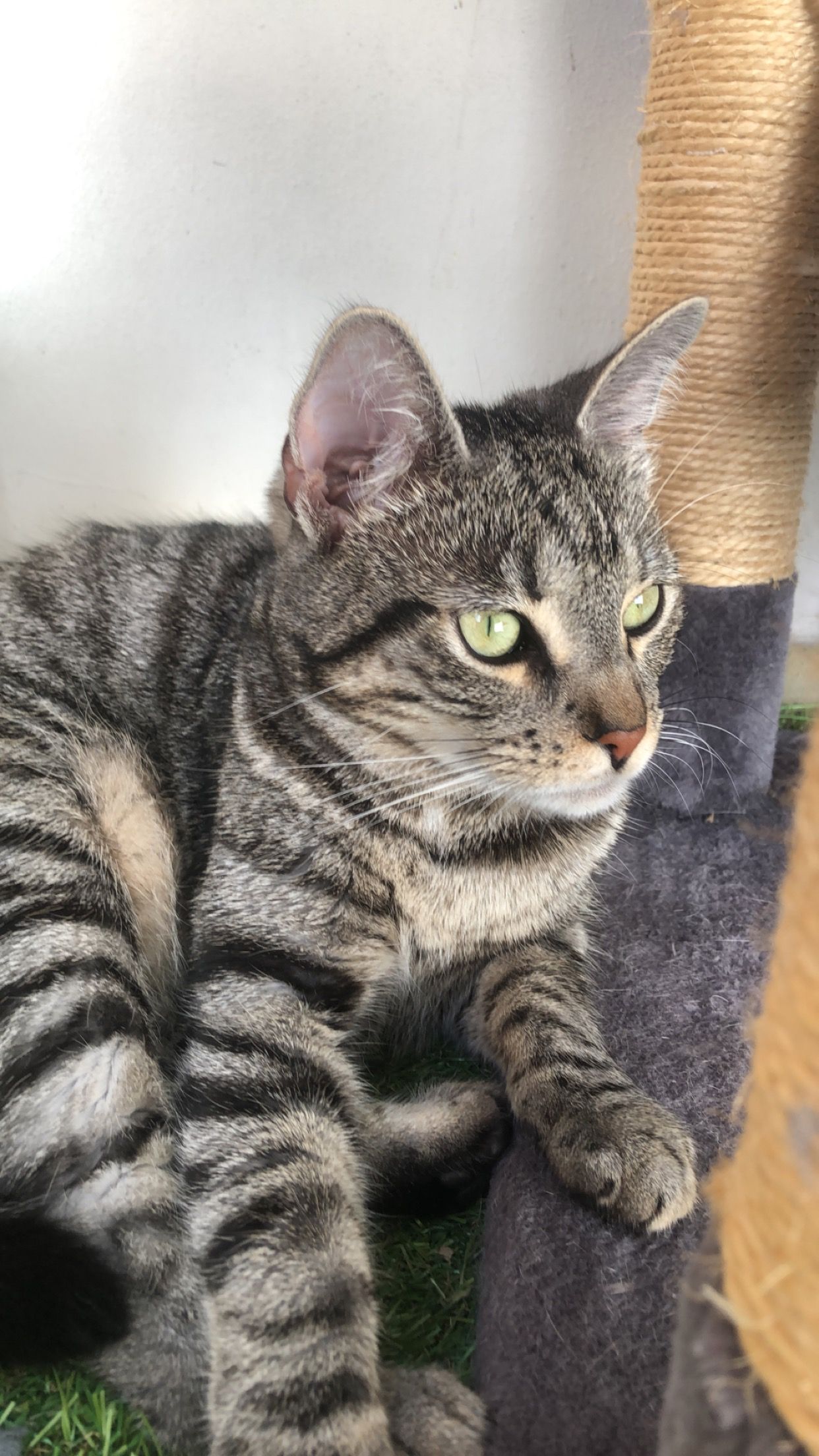 Yuki - Moskauer Straße, Erfurt