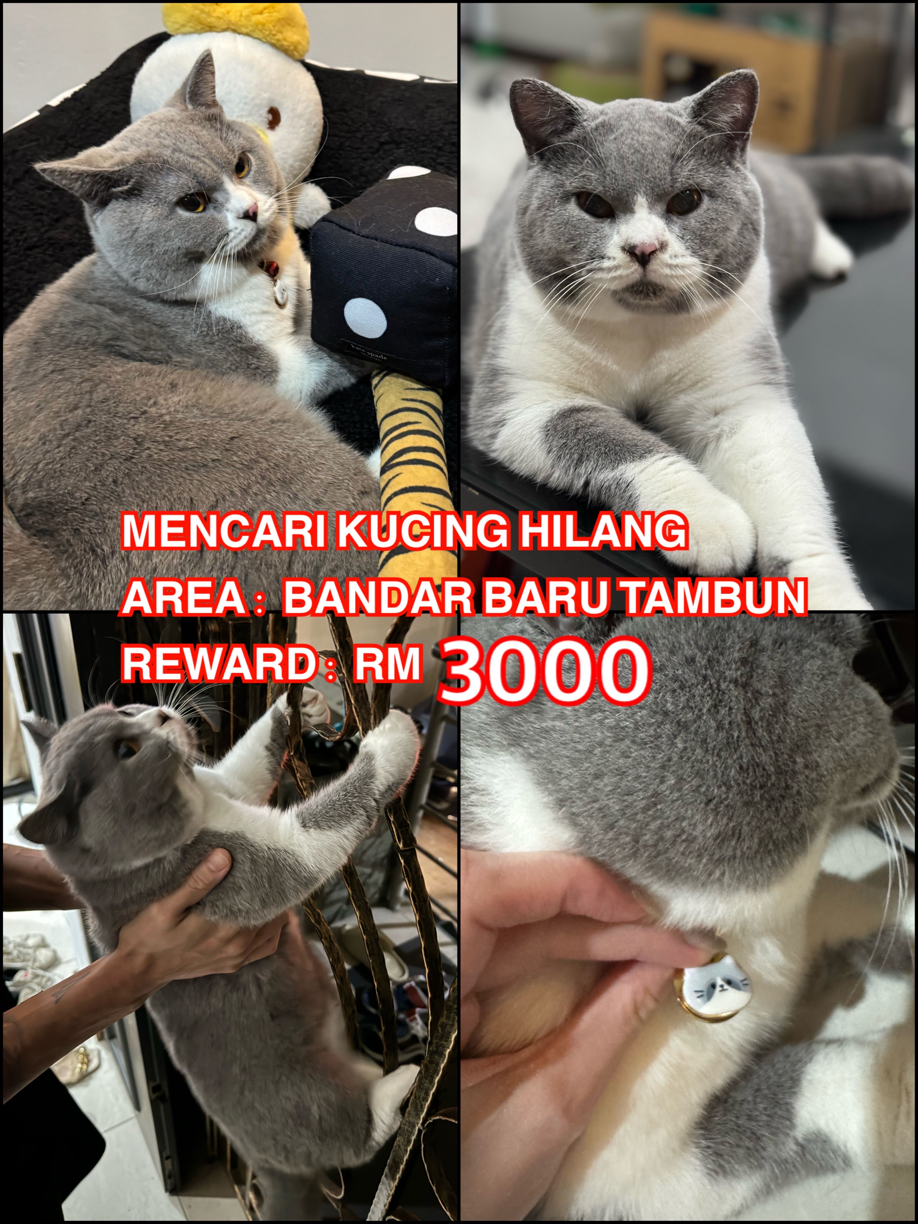 Bobby - Persiaran Bandar Baru Tambun 10, Ipoh