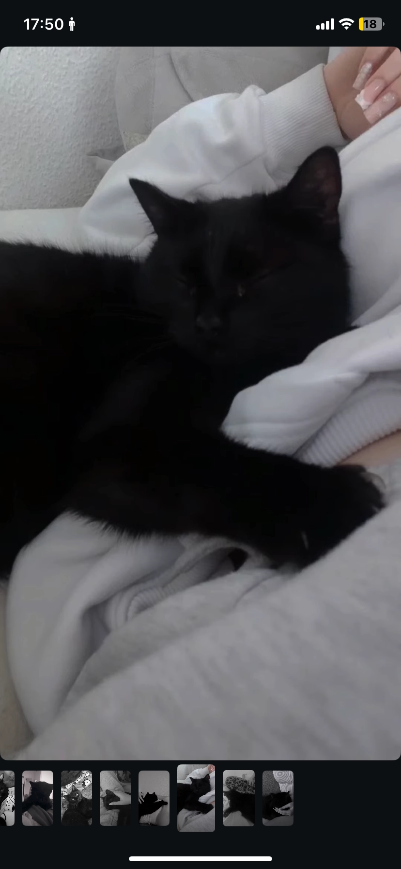 Mau - Neckartenzlingen, Neckartenzlingen