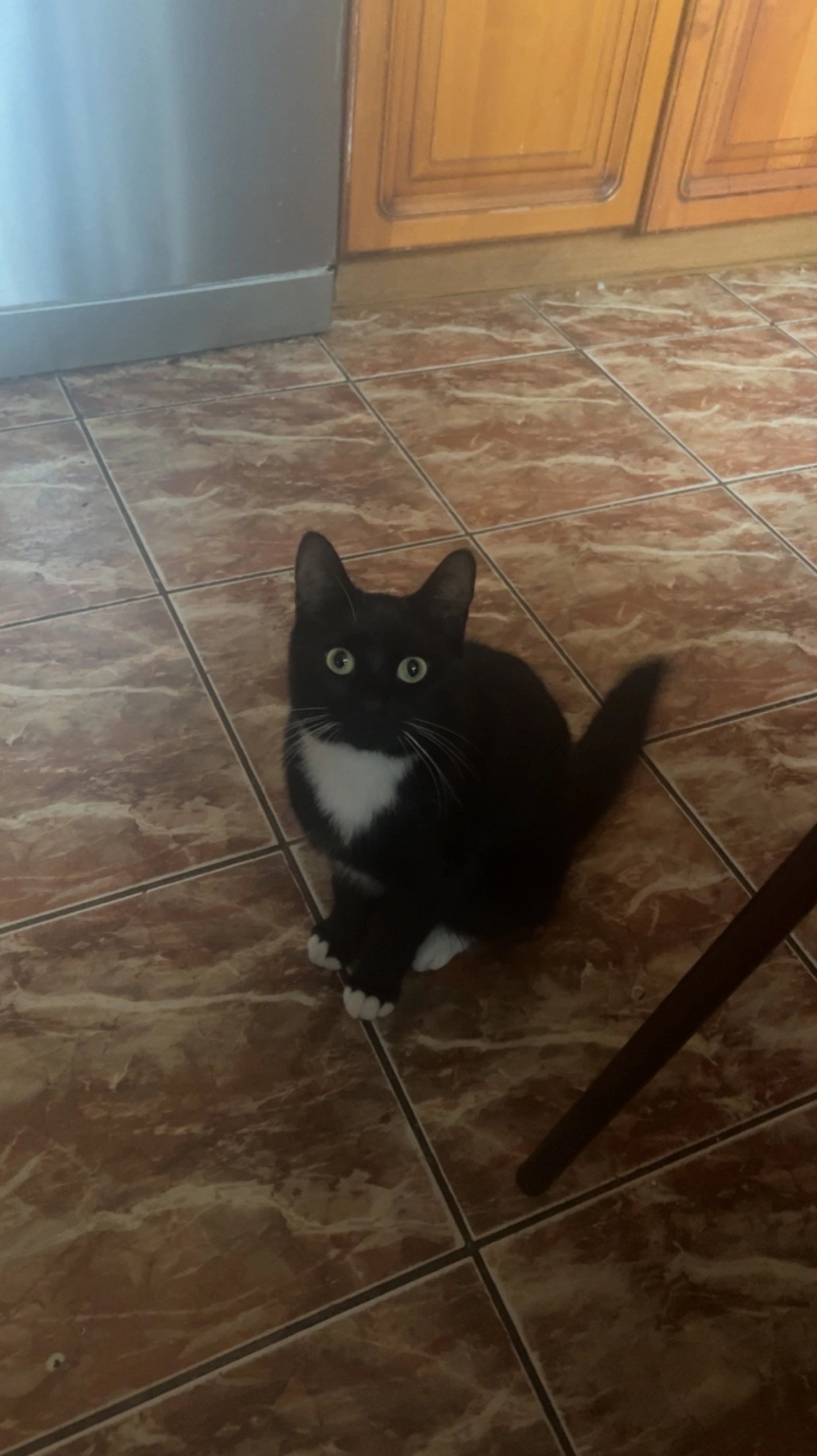 Simba  - De Lindeplein, Anderlecht