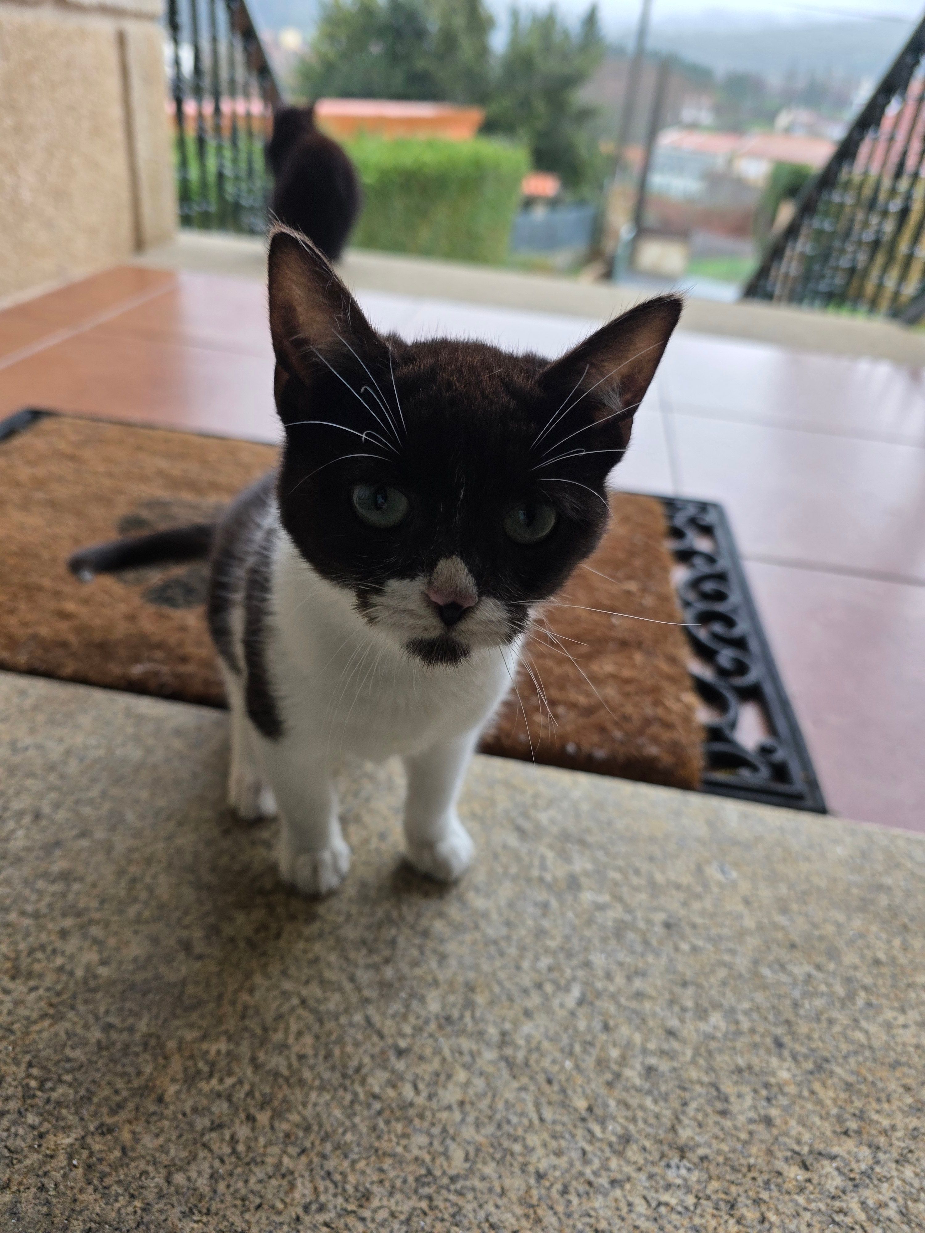 Batman  - Serres ( zona piscina municipal), Muros