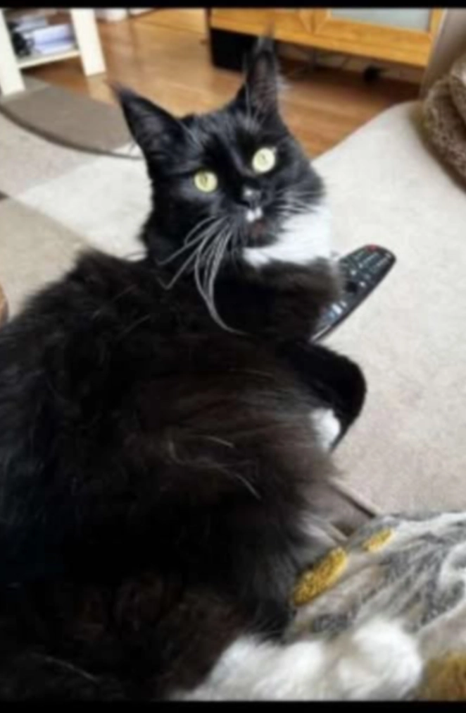 Tuxie - Rankine Close, Rugby