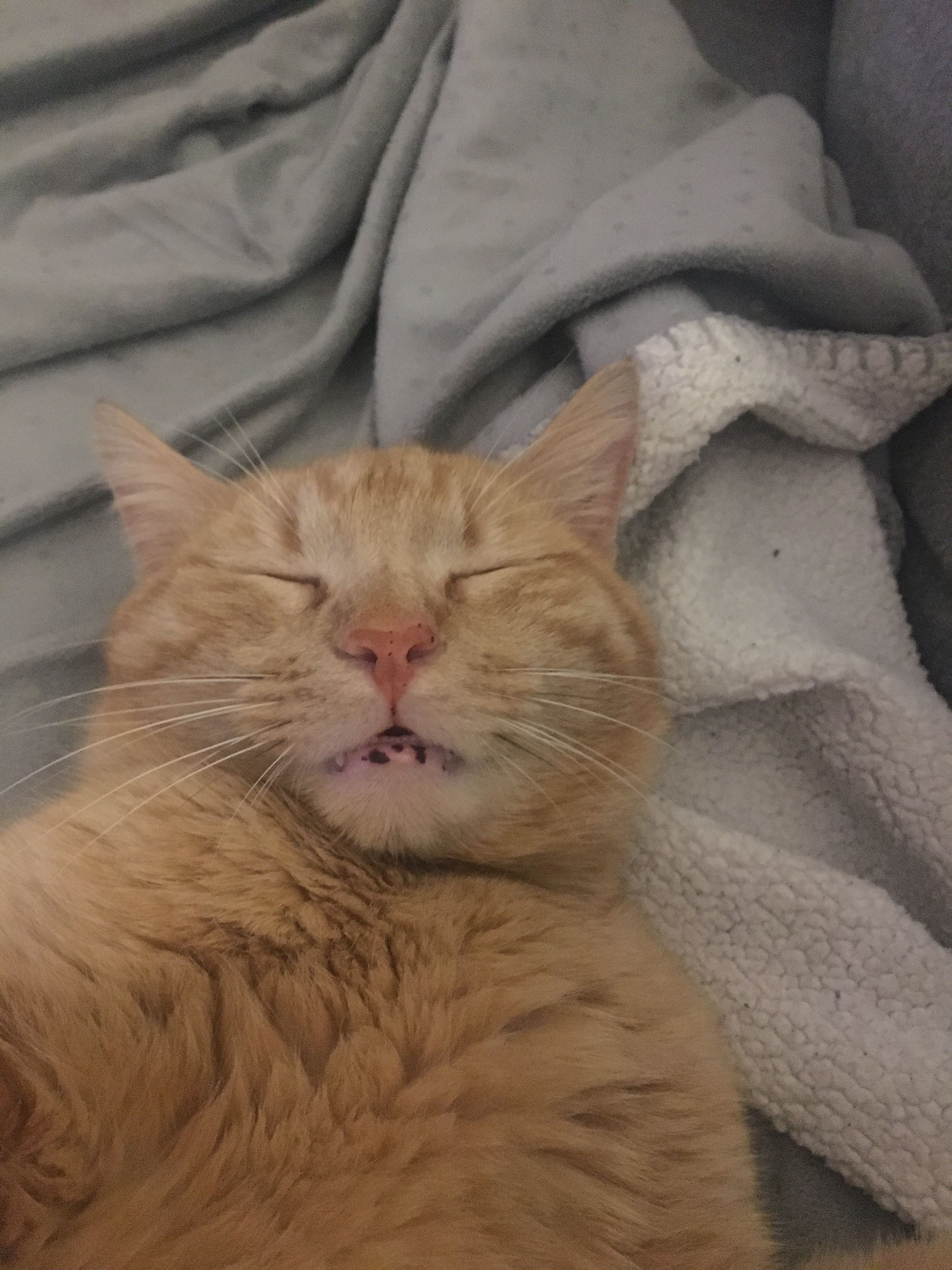 Prince - Boulevard Beausoleil, Bergerac