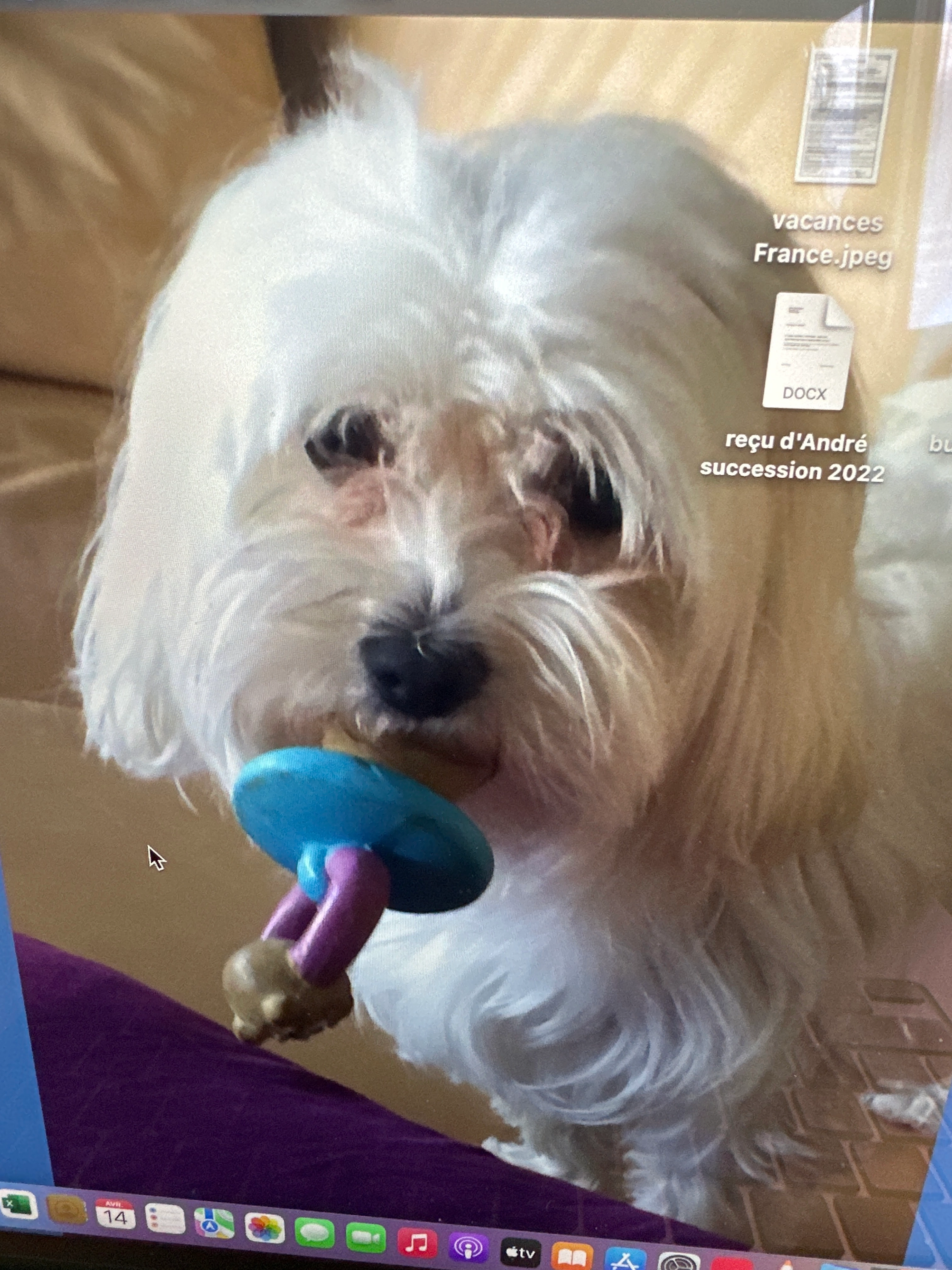 Gamine - Chemin de Chenailleta 10, Milvignes