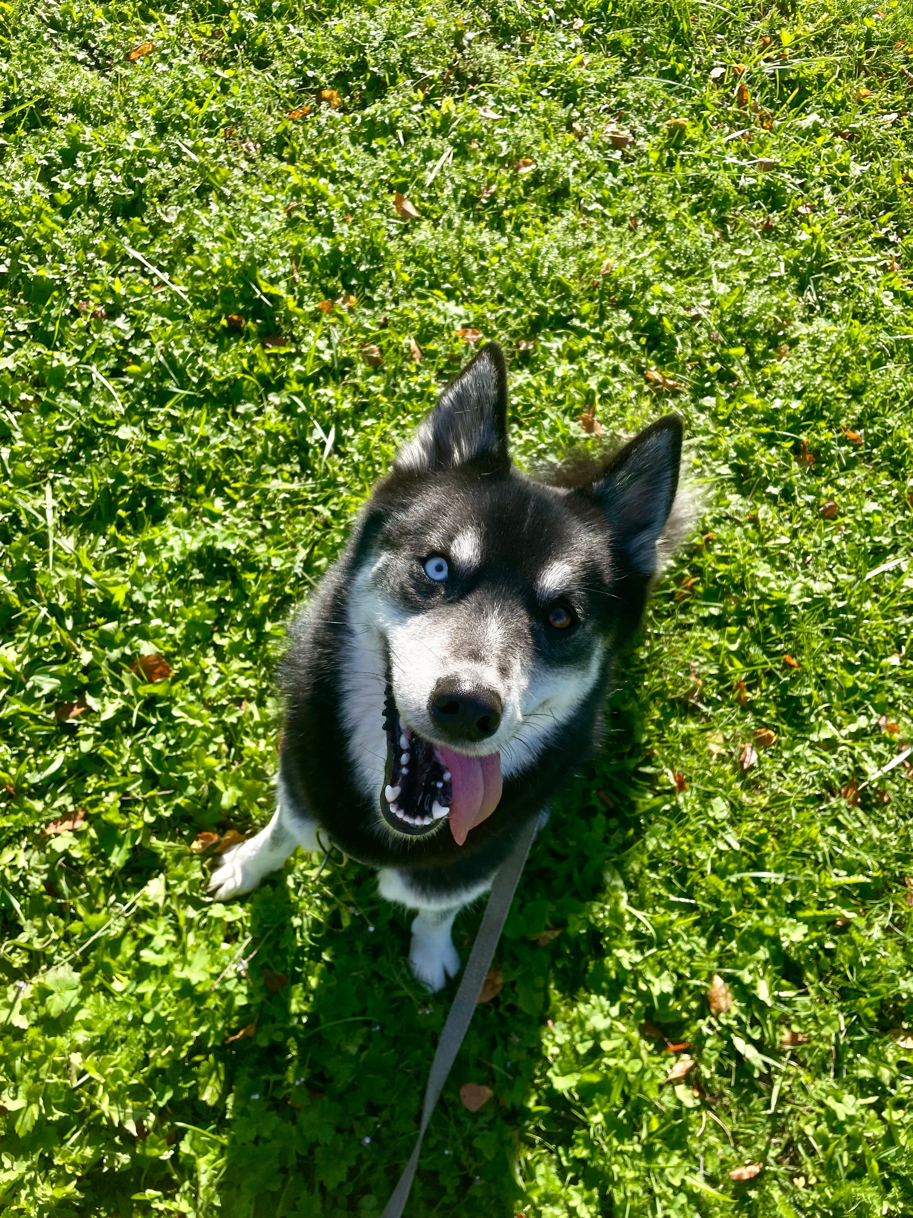 Snow - 9 Rue du Cimetière, Neuville-de-Poitou