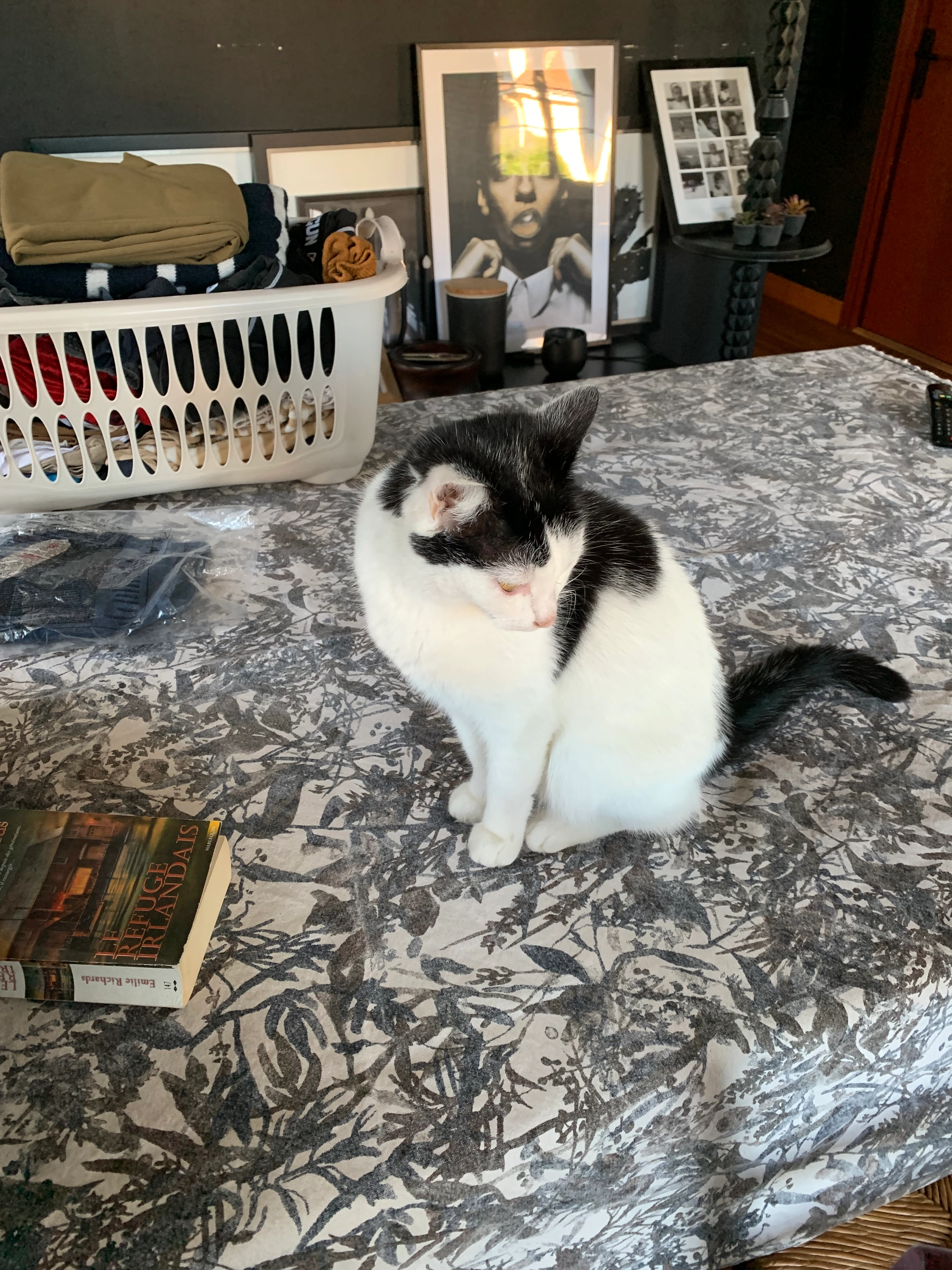 Princesse - Rue Jeanne D'arc, Pamiers