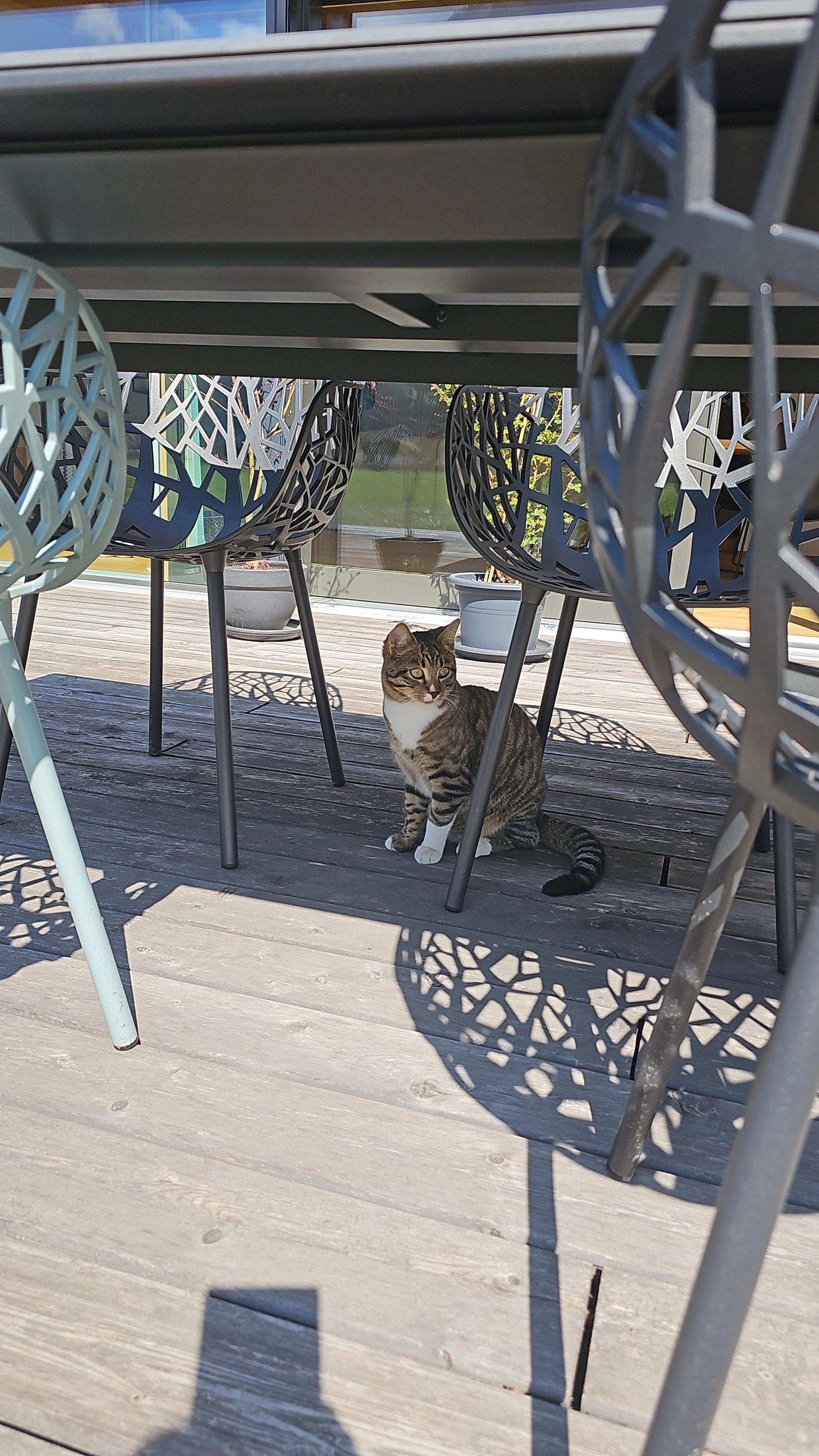 Simba - Hausenstrasse, Meiringen