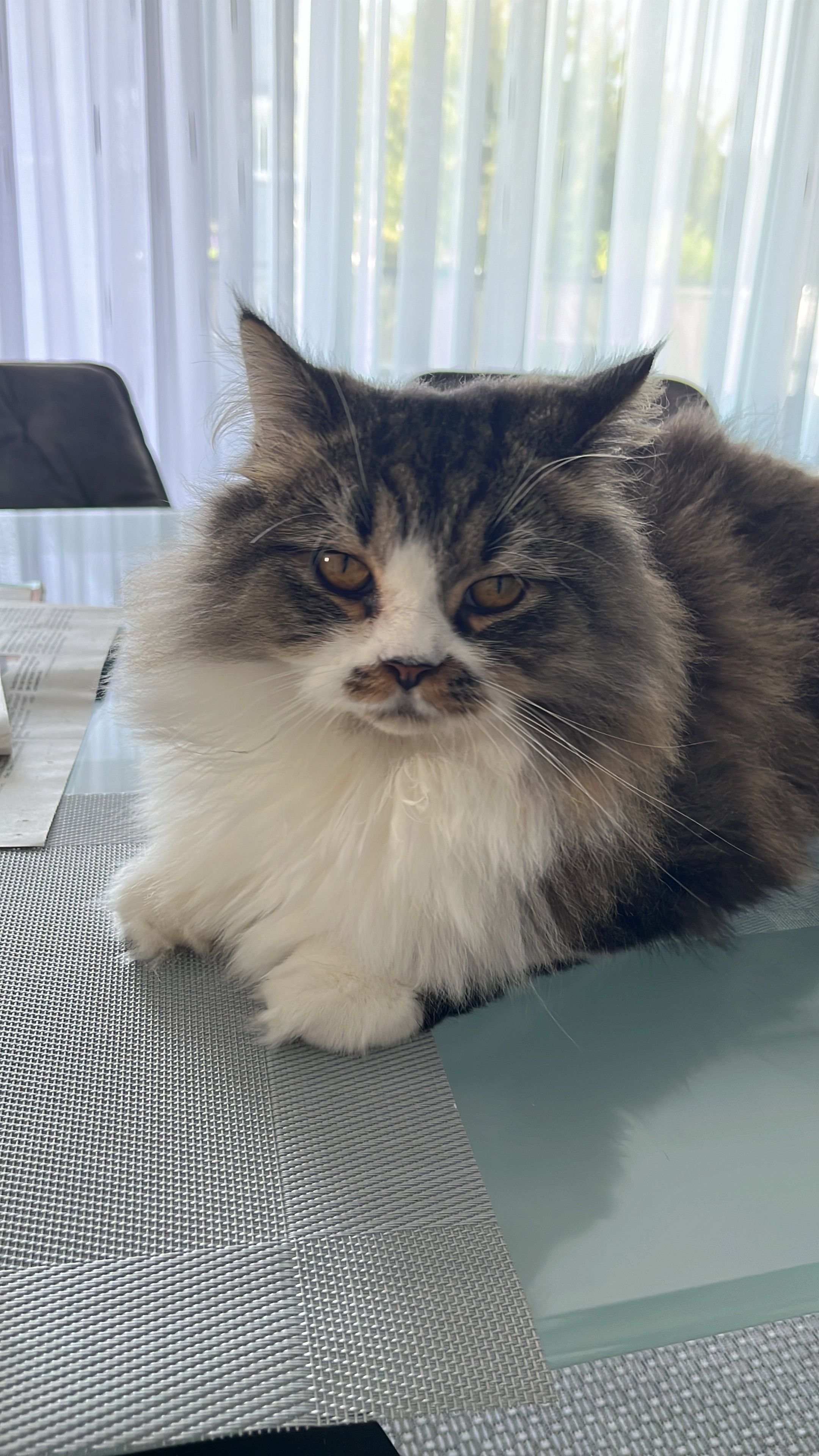 Nala - Claudiusstraße, Holzminden