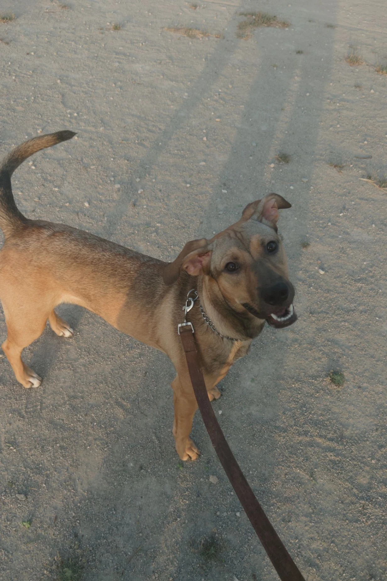 Mila - Estrada de Asfamil e Ligeiras, Rio de Mouro