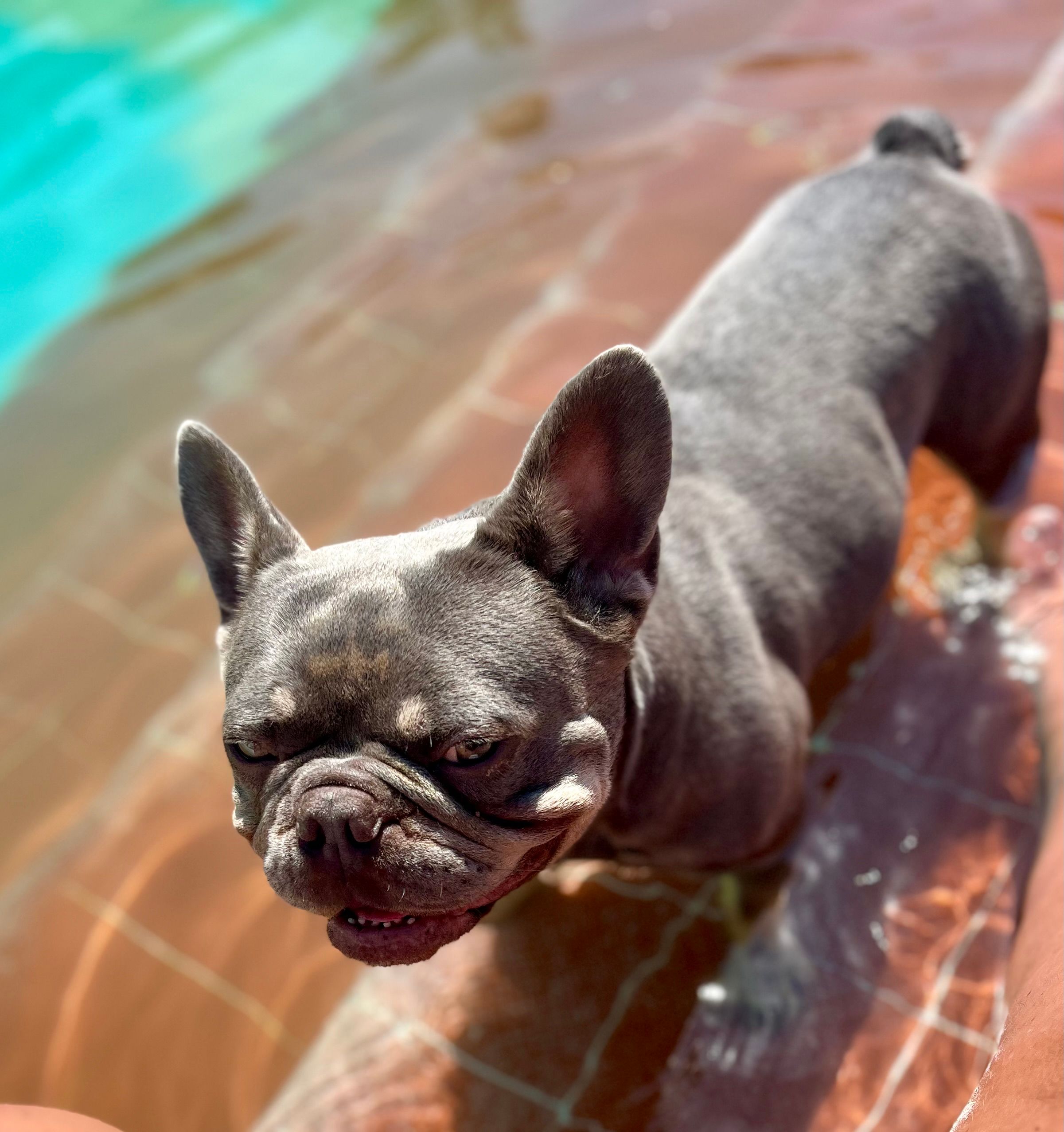 Zeus - Pampisford Road, South Croydon