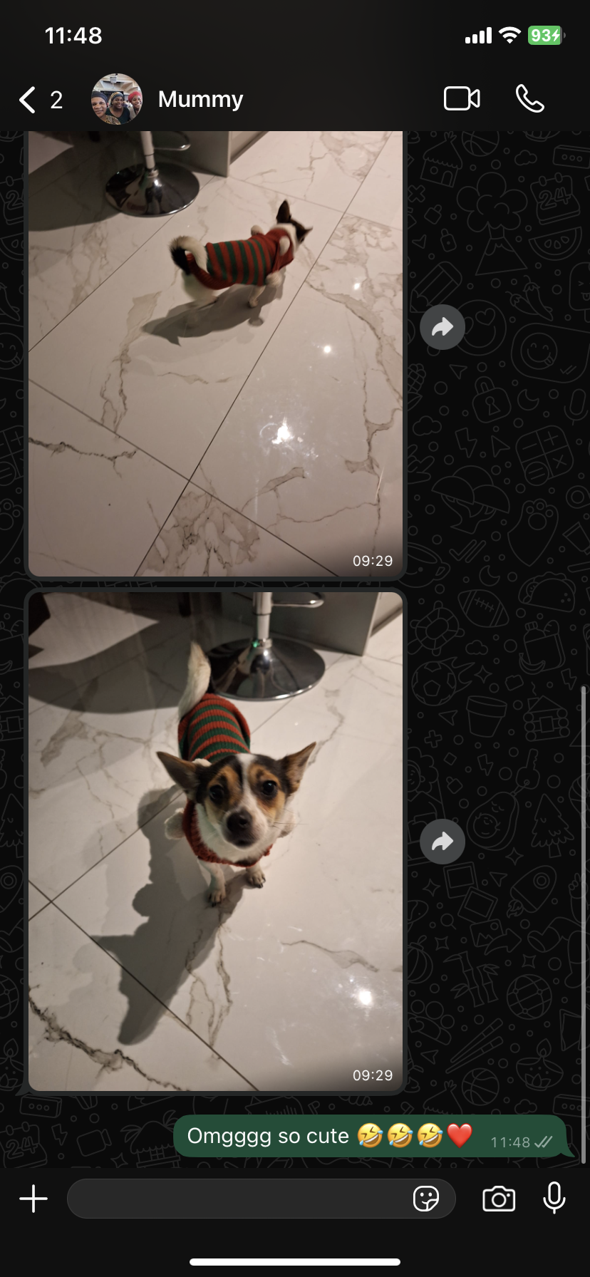 Maki - Waterstown Avenue, Palmerston