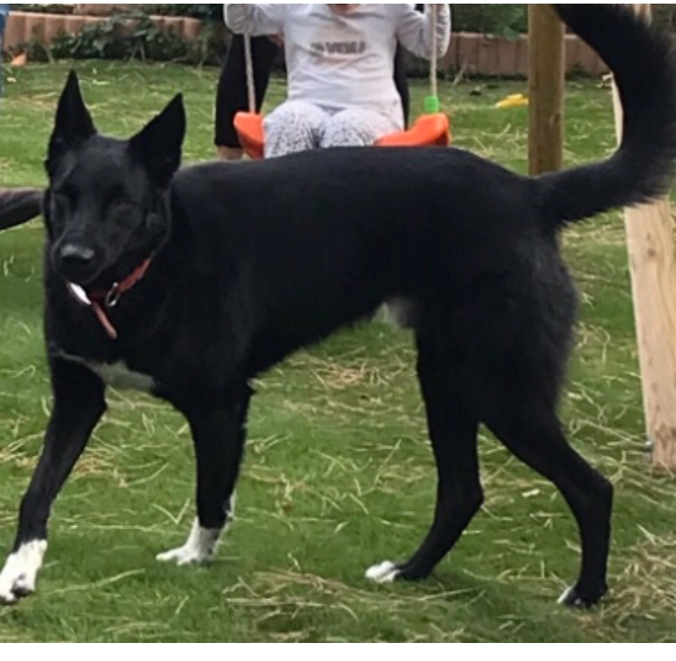 Nemo - Avenue Jean Giono, Allauch