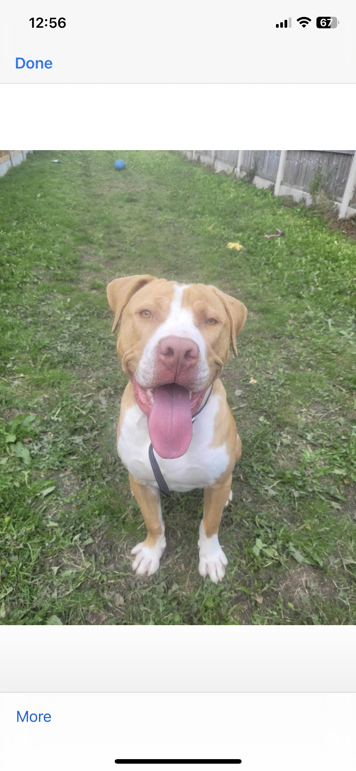 Rosco  - LS27 0, Leeds