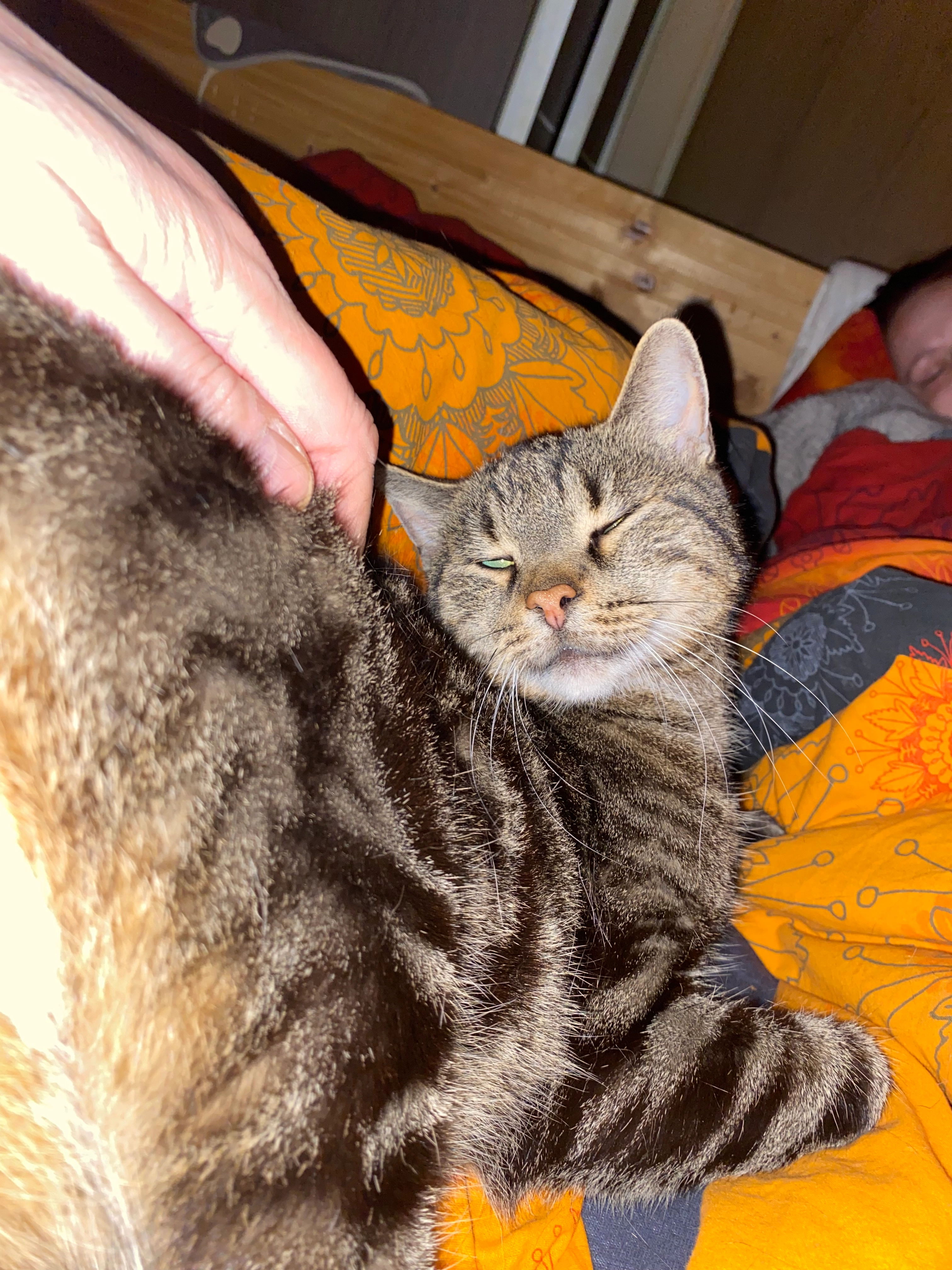 Paul - Heiterblickallee, Leipzig