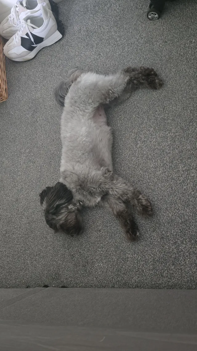 Luna - LU1 5, Luton