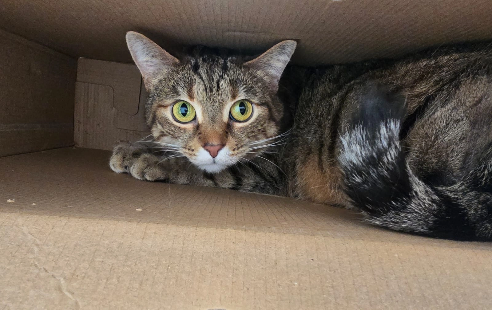 Nele - Streitstraße, Berlin