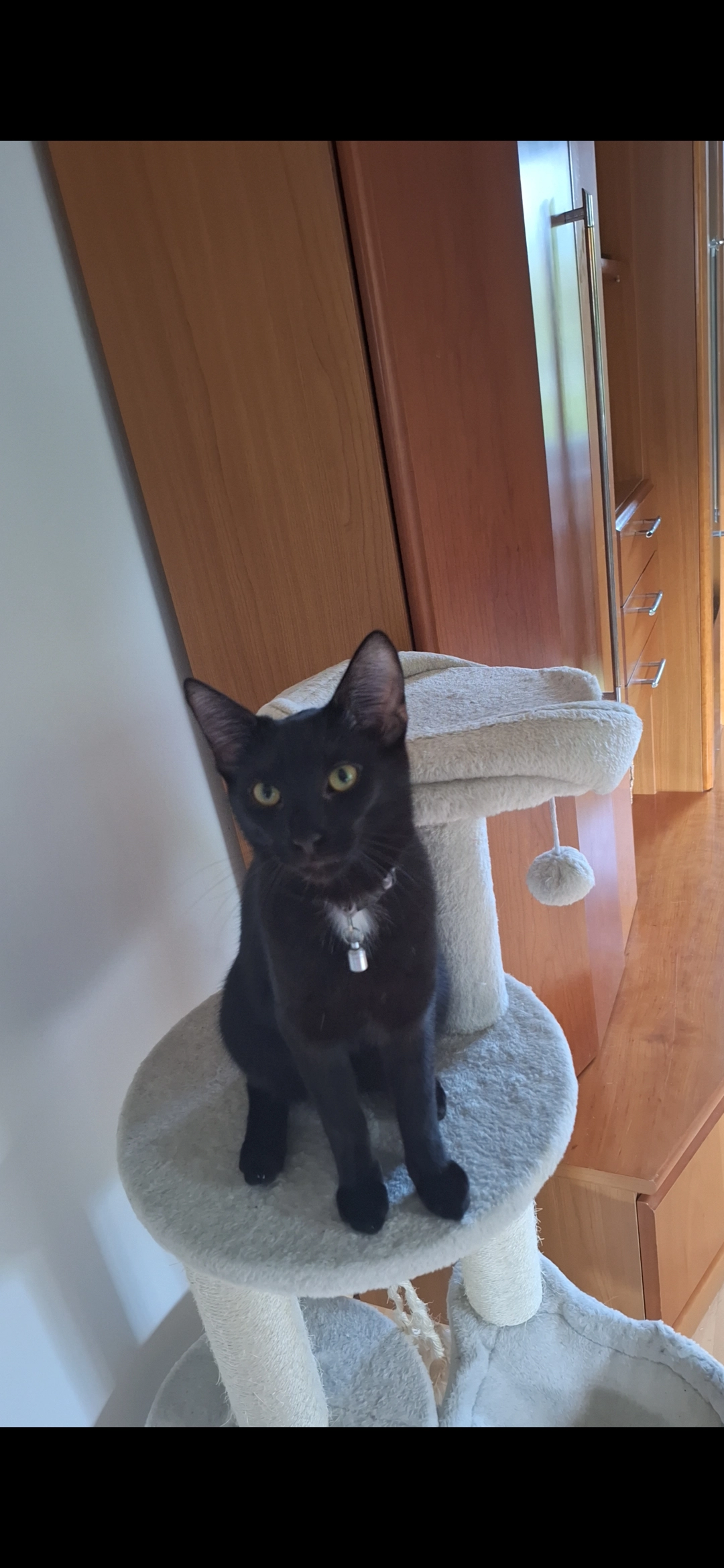 Frey - Gartenweg, Mölbling