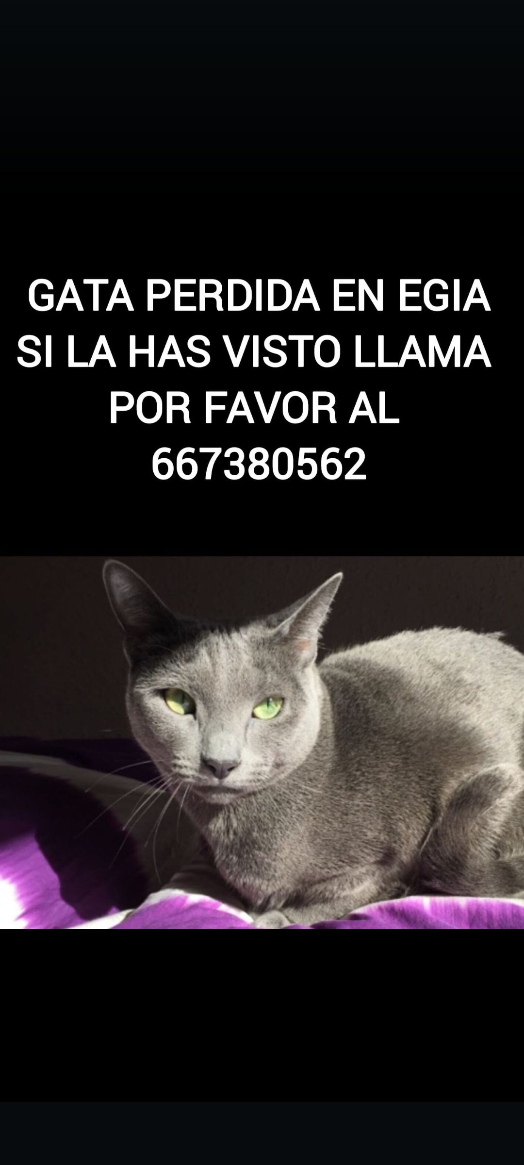 Mara - Oiartzun Ibaiaren Kalea, San Sebastián